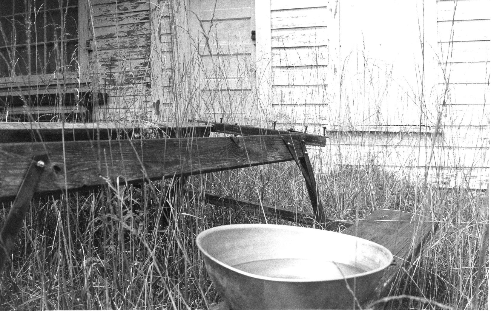 Rainwater, Alamance County, NC