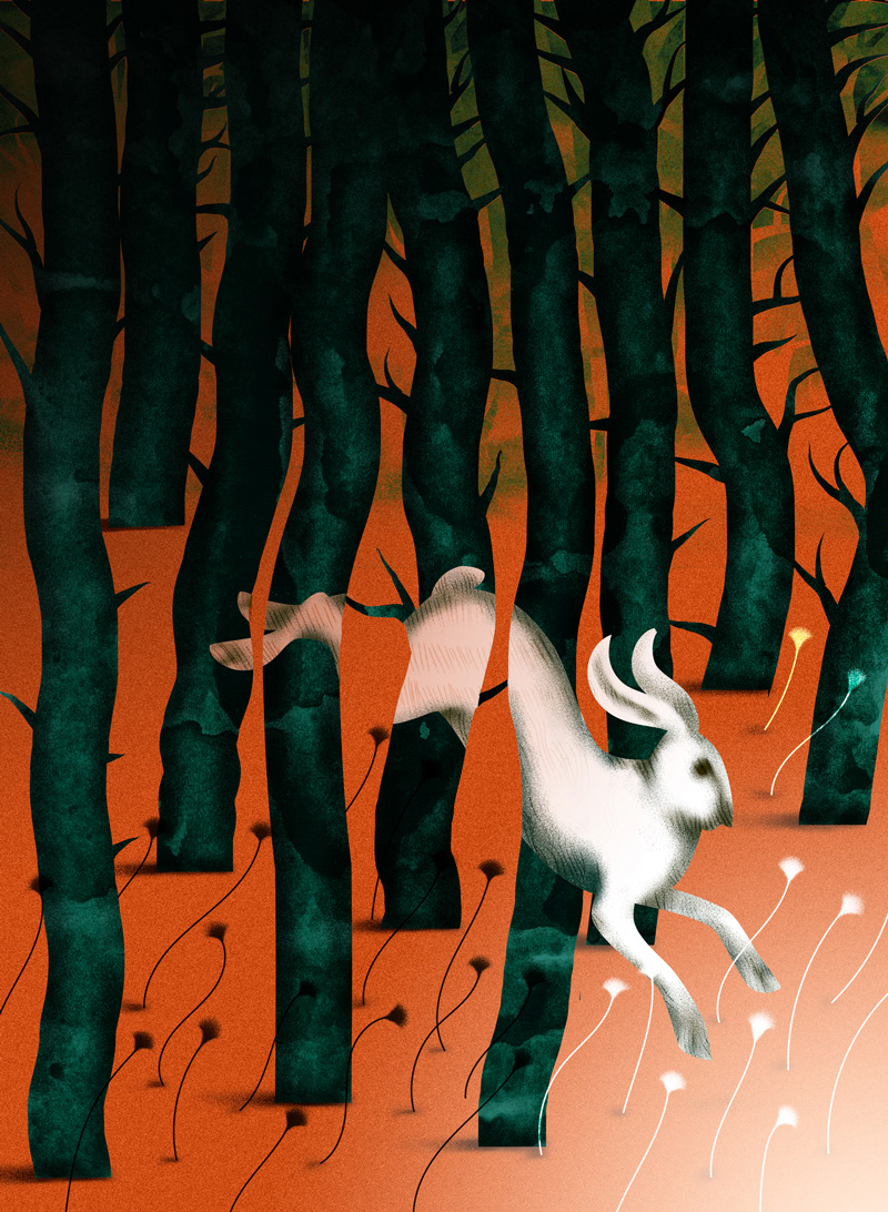 Cover illustration for an issue about mental health