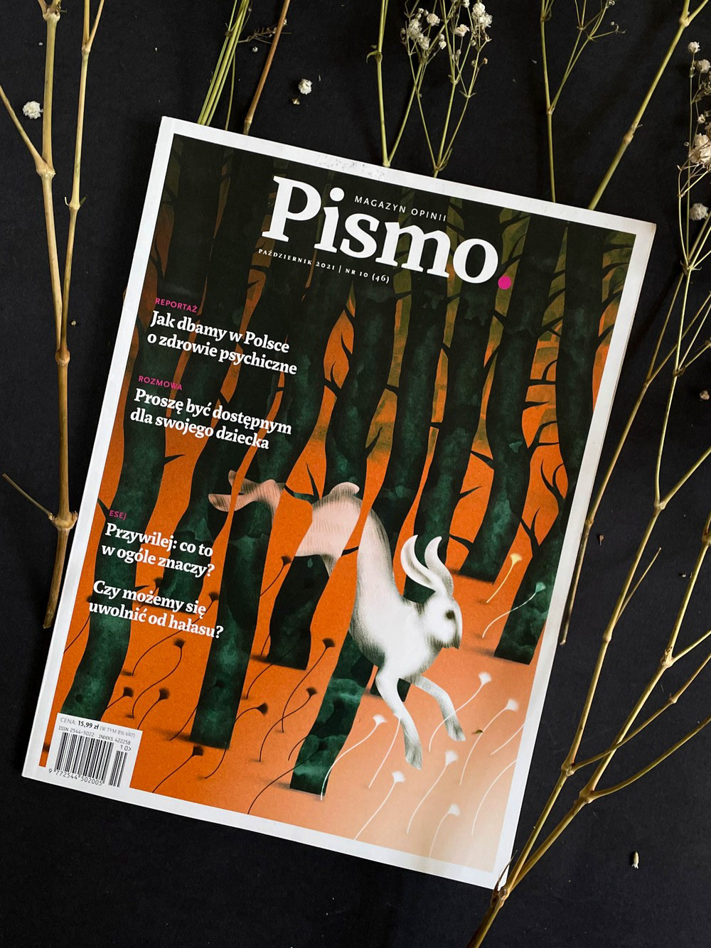 "To Find a Light".  For an issue about mental health.