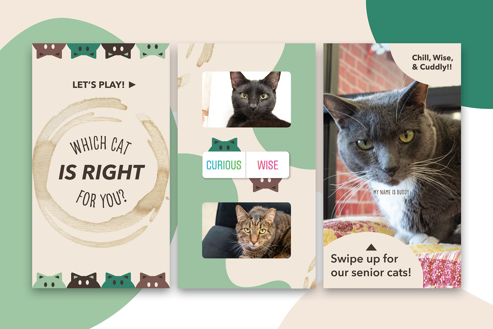 Instagram Story Ad Campaign - A game for players to determine the perfect cat for them to adopt.