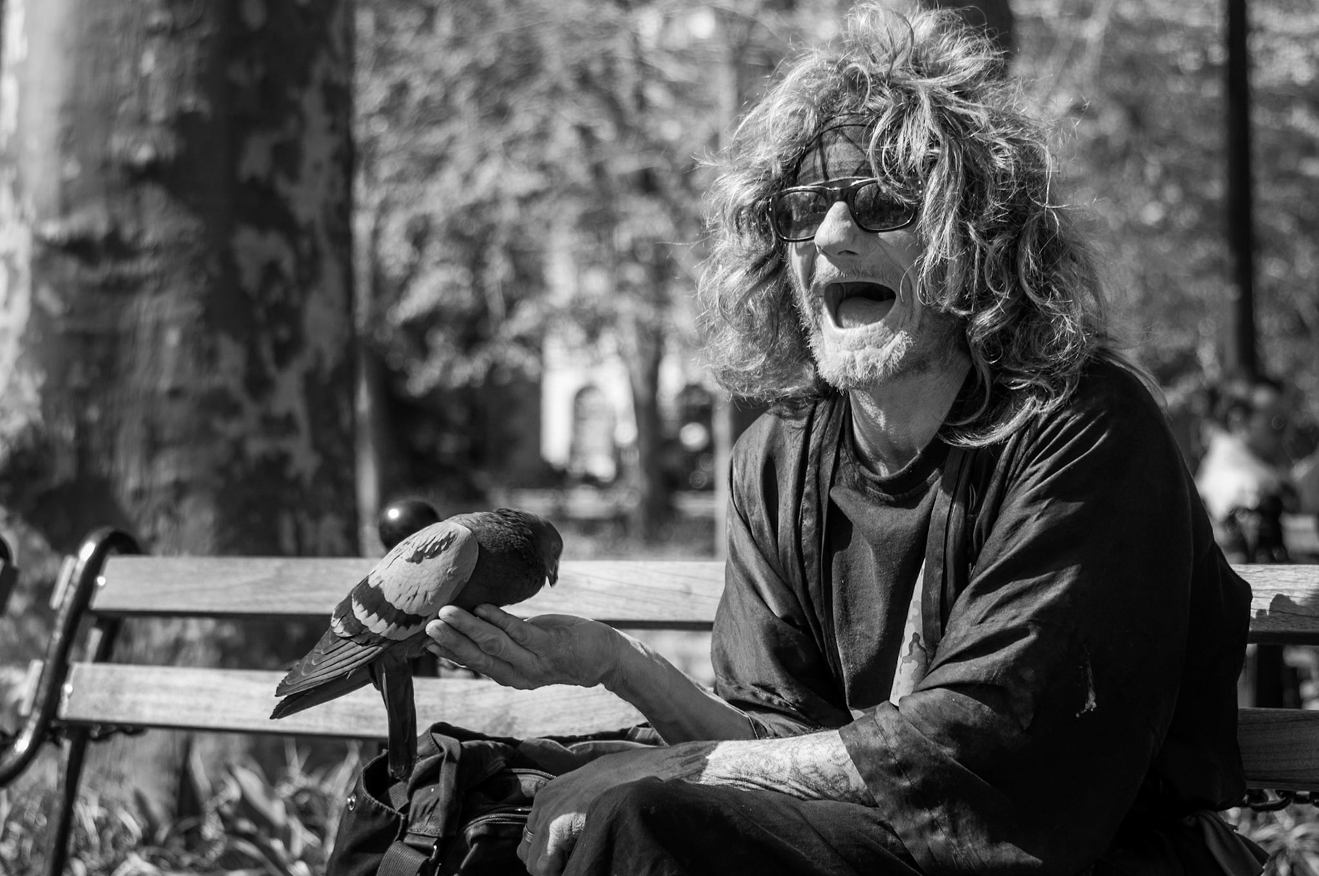 Pigeon man