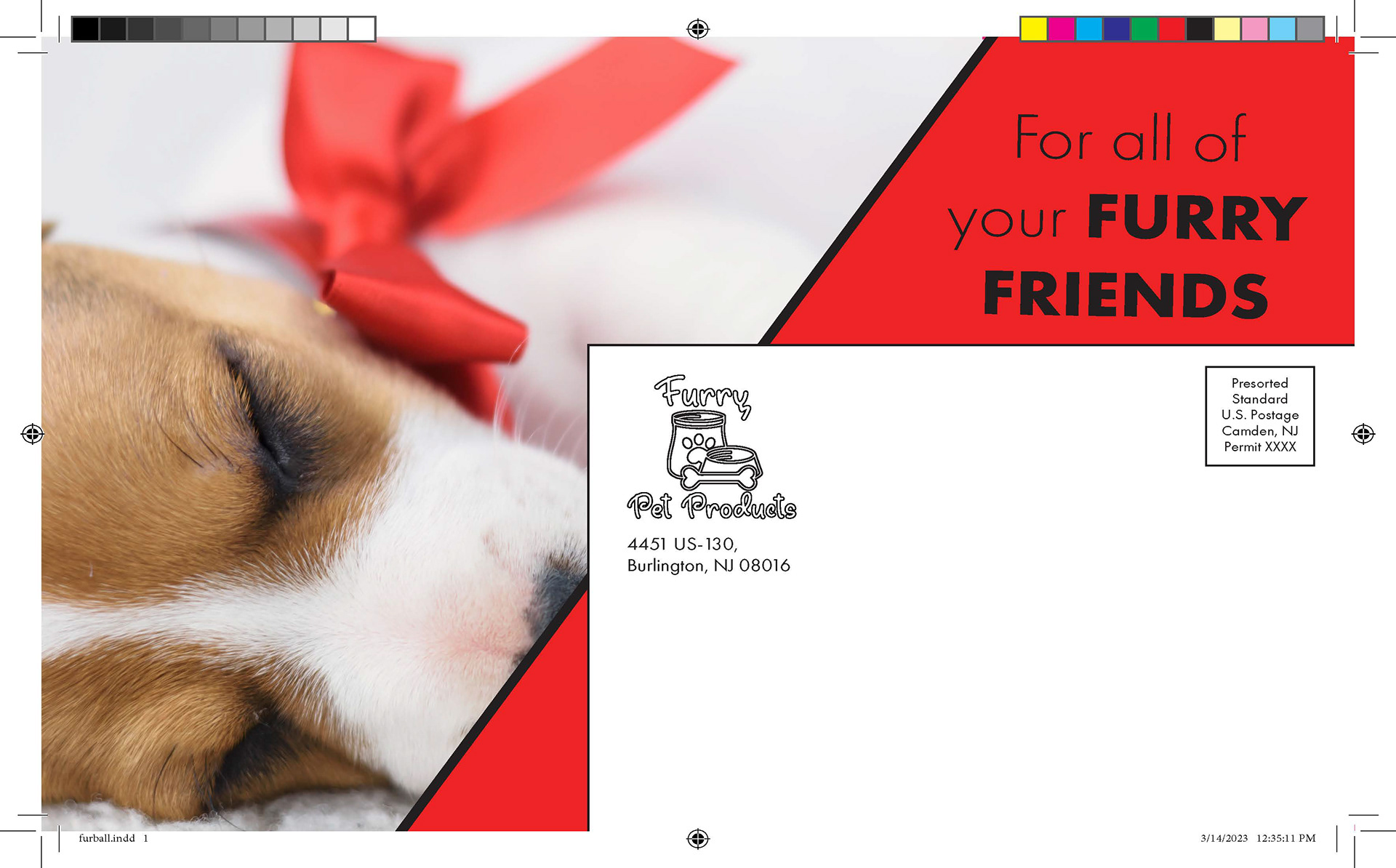 print setup, bleed lines, trim lines, mailer, indesign, brand awareness, logo design