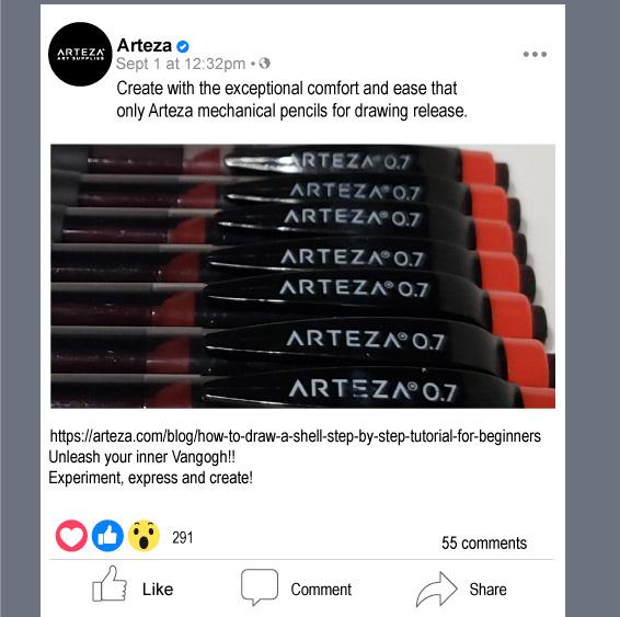 Organic Facebook Post