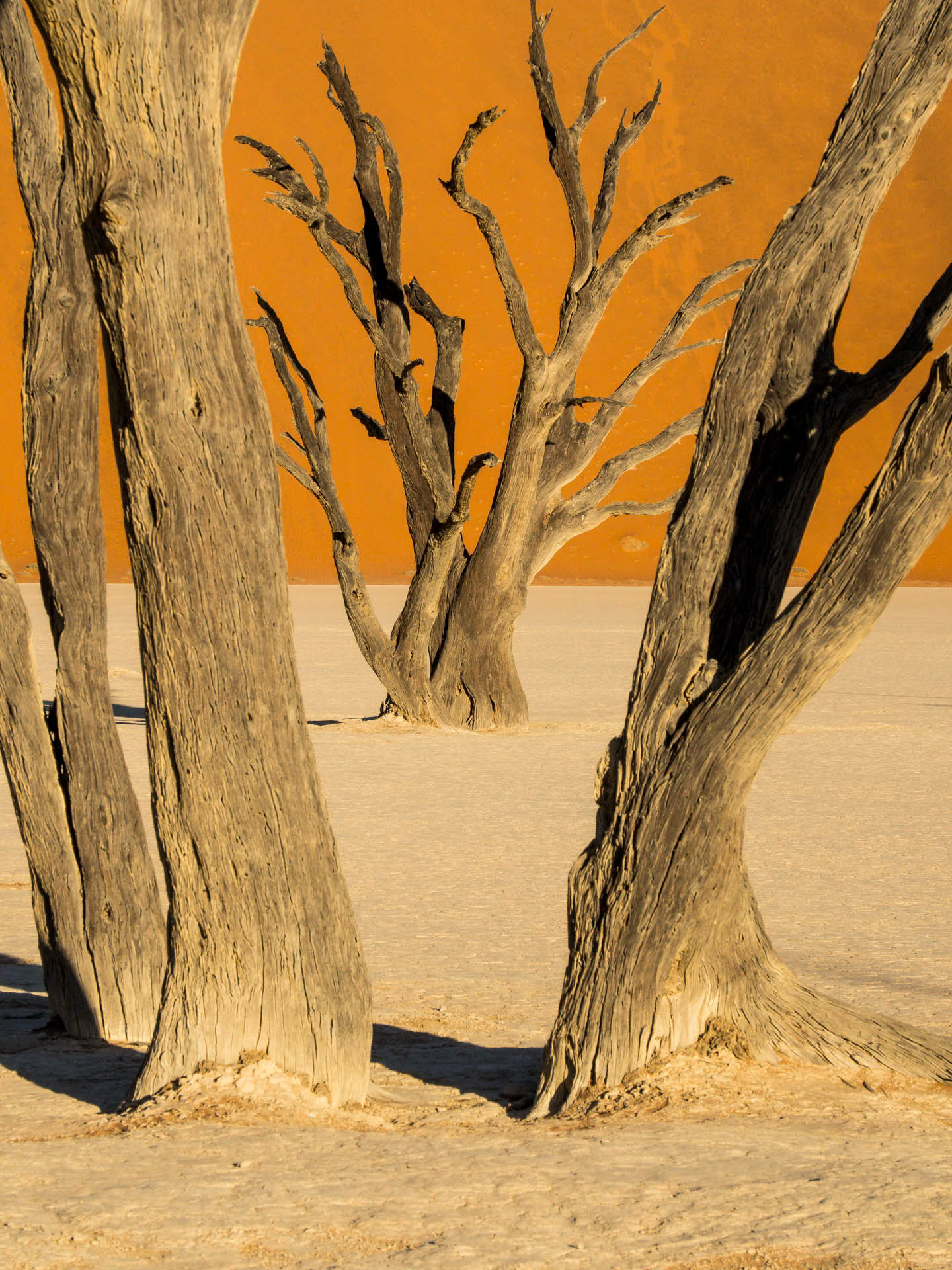 DeadVlei 587