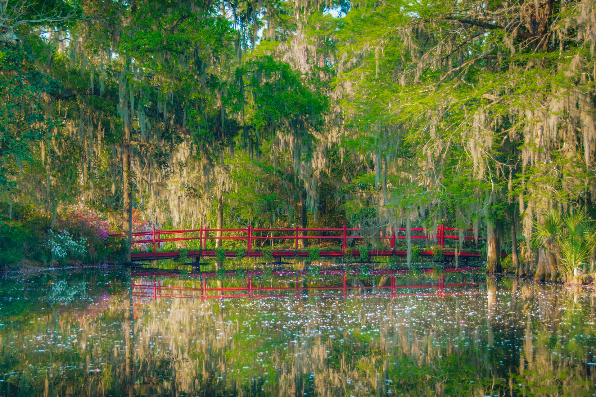 Magnolia Gardens Bridge