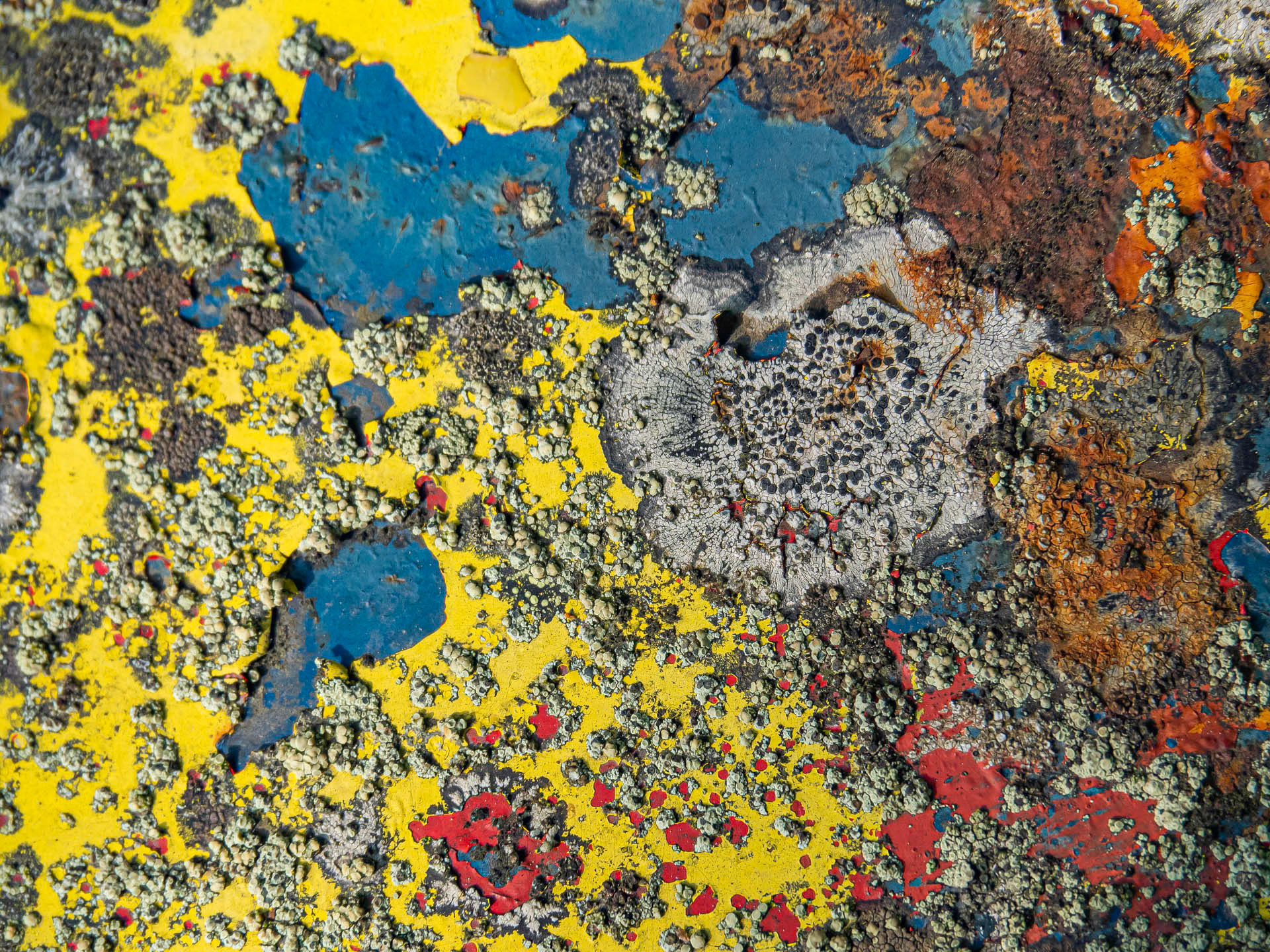 Rust Abstract