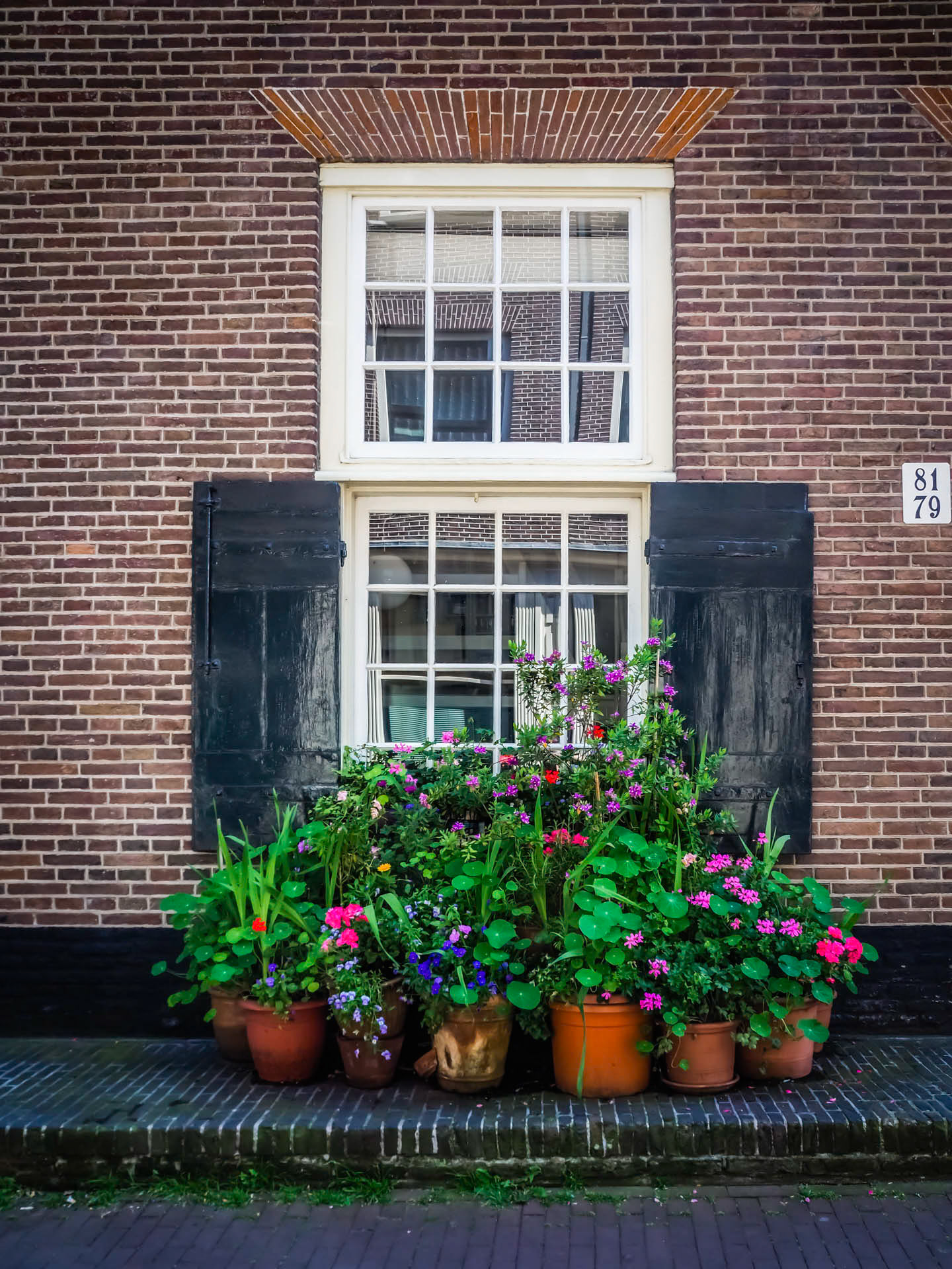 8179 House