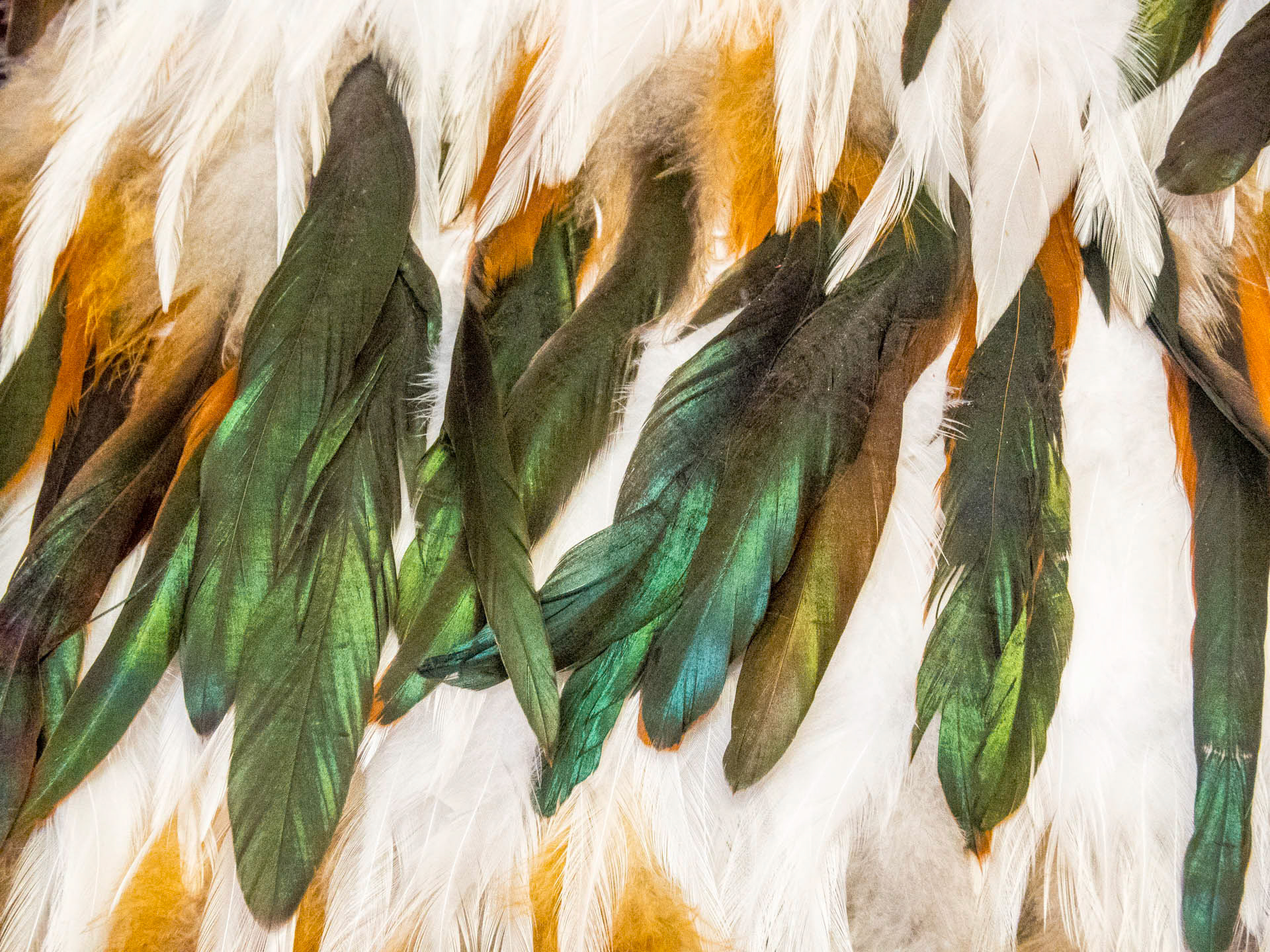 Feathers