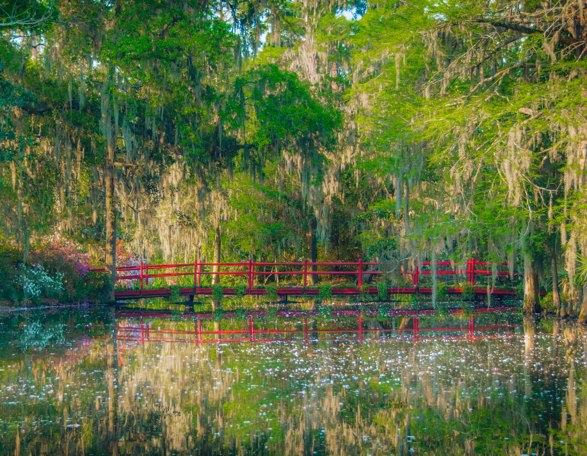 Magnolia Gardens Bridge