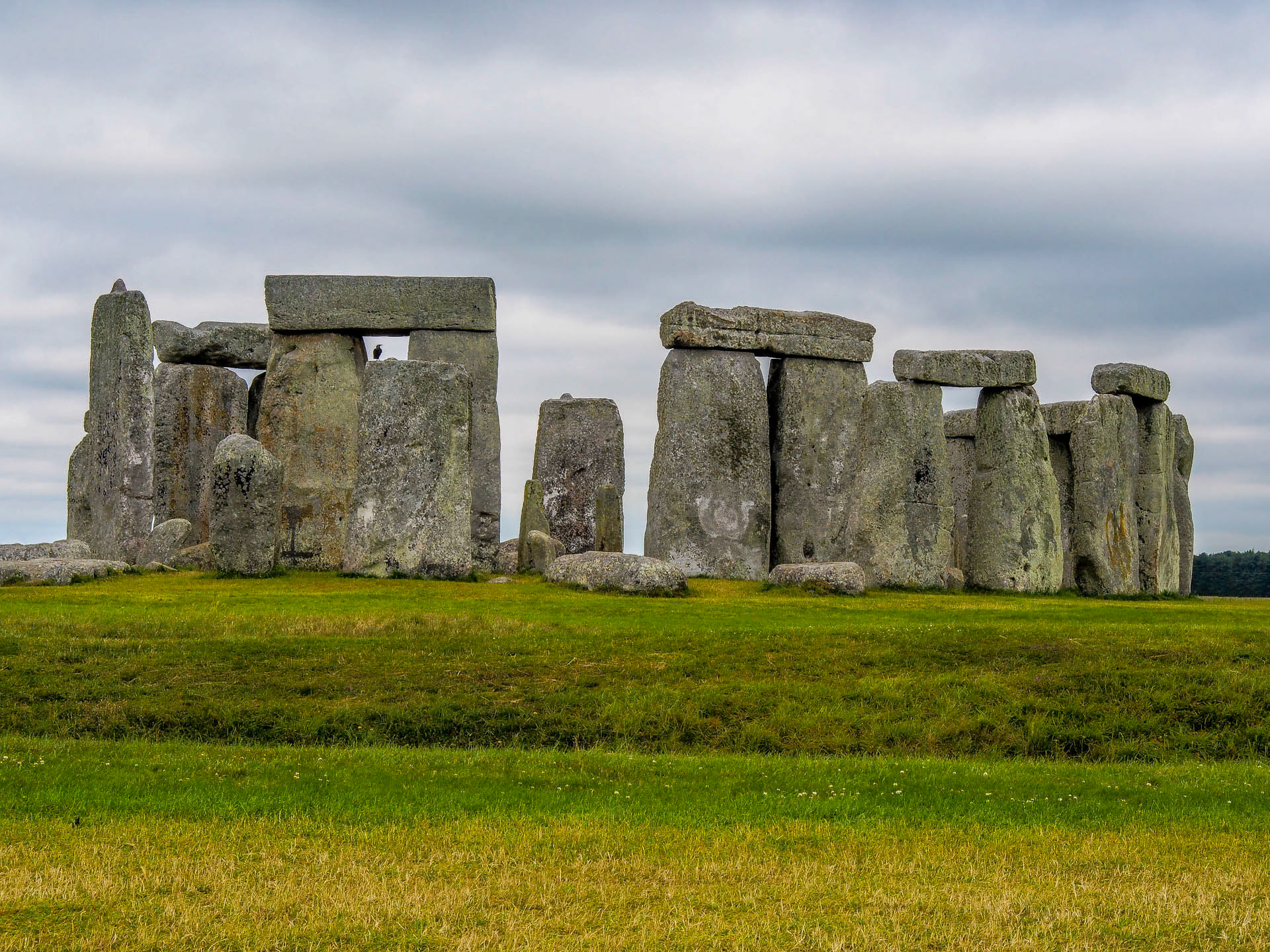 StoneHenge Bird