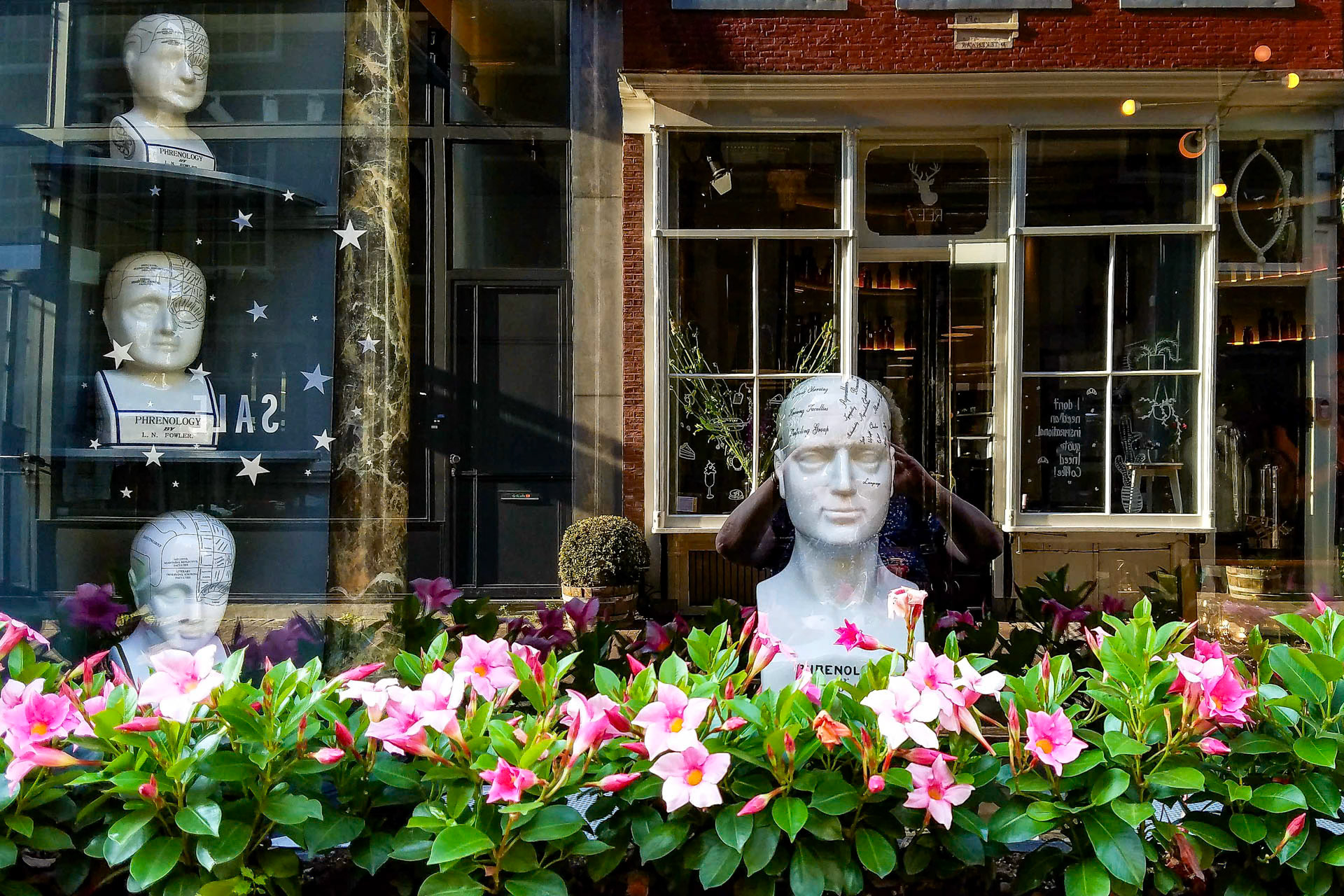 Phrenology Reflections