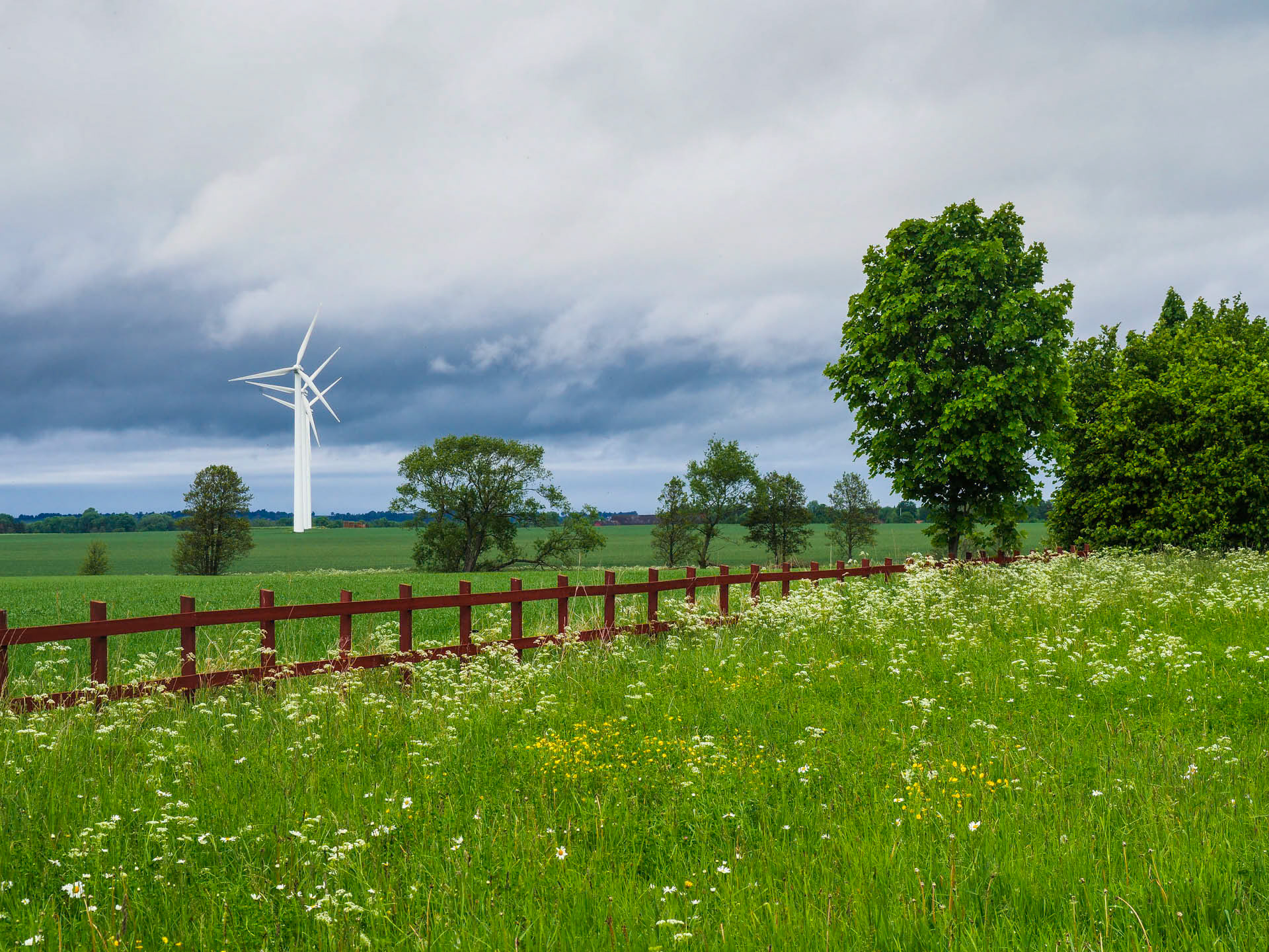 Swedish Windmills