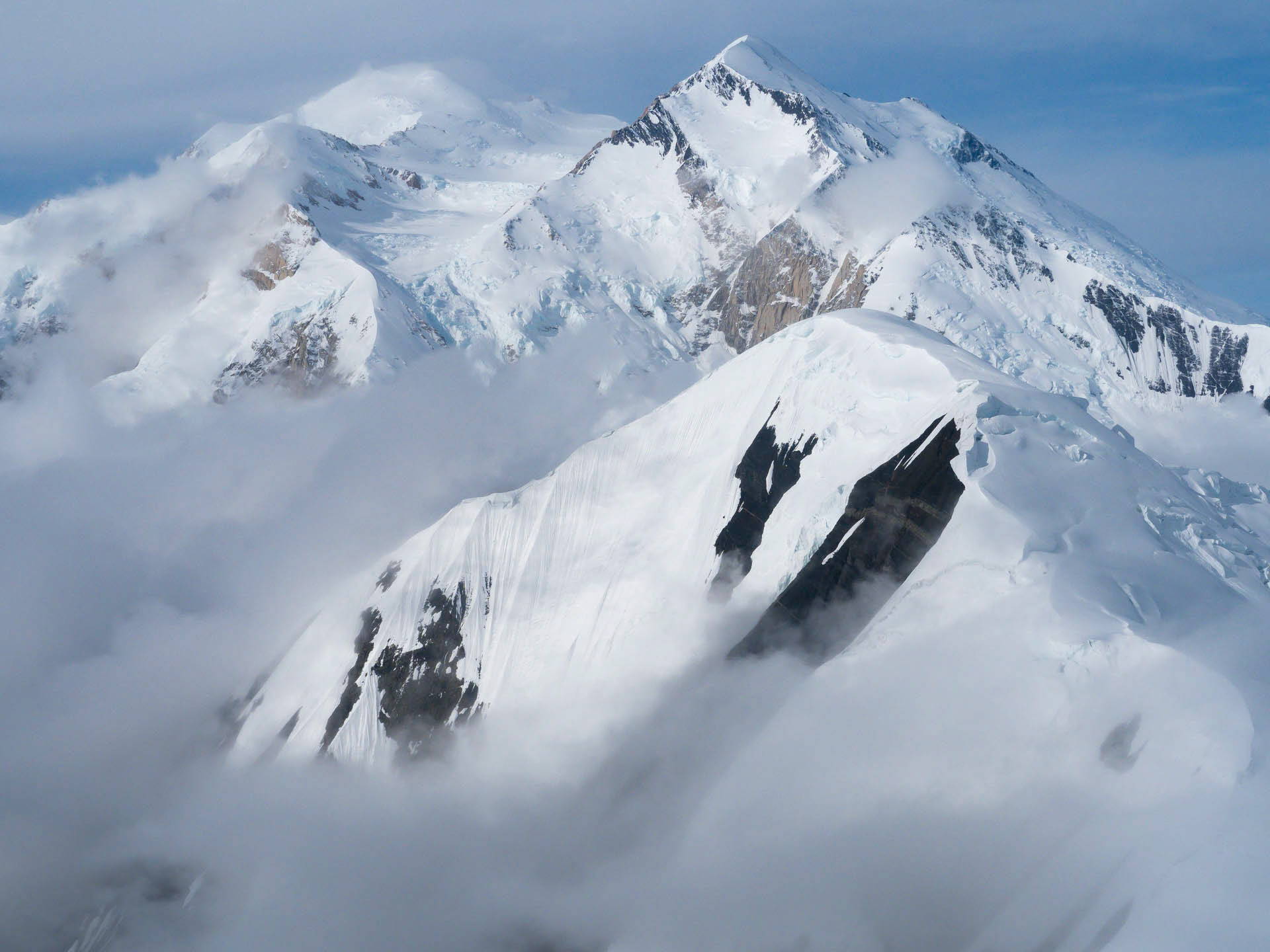 Denali View