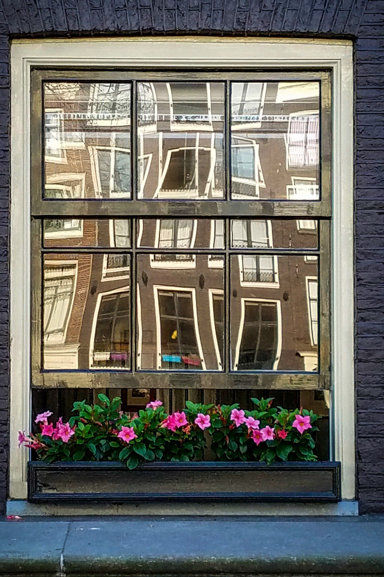 Window Reflection