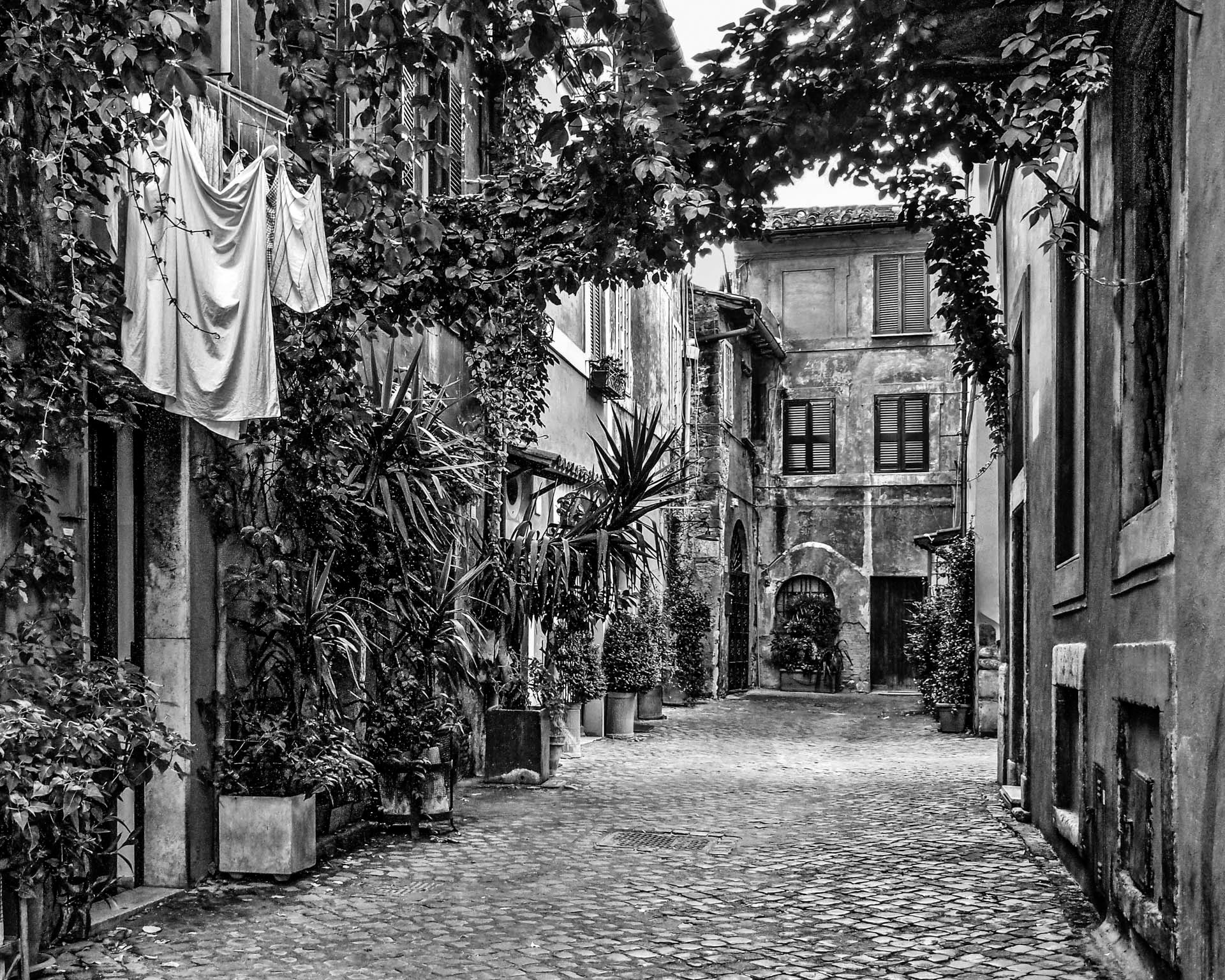 Trastavere Alley
