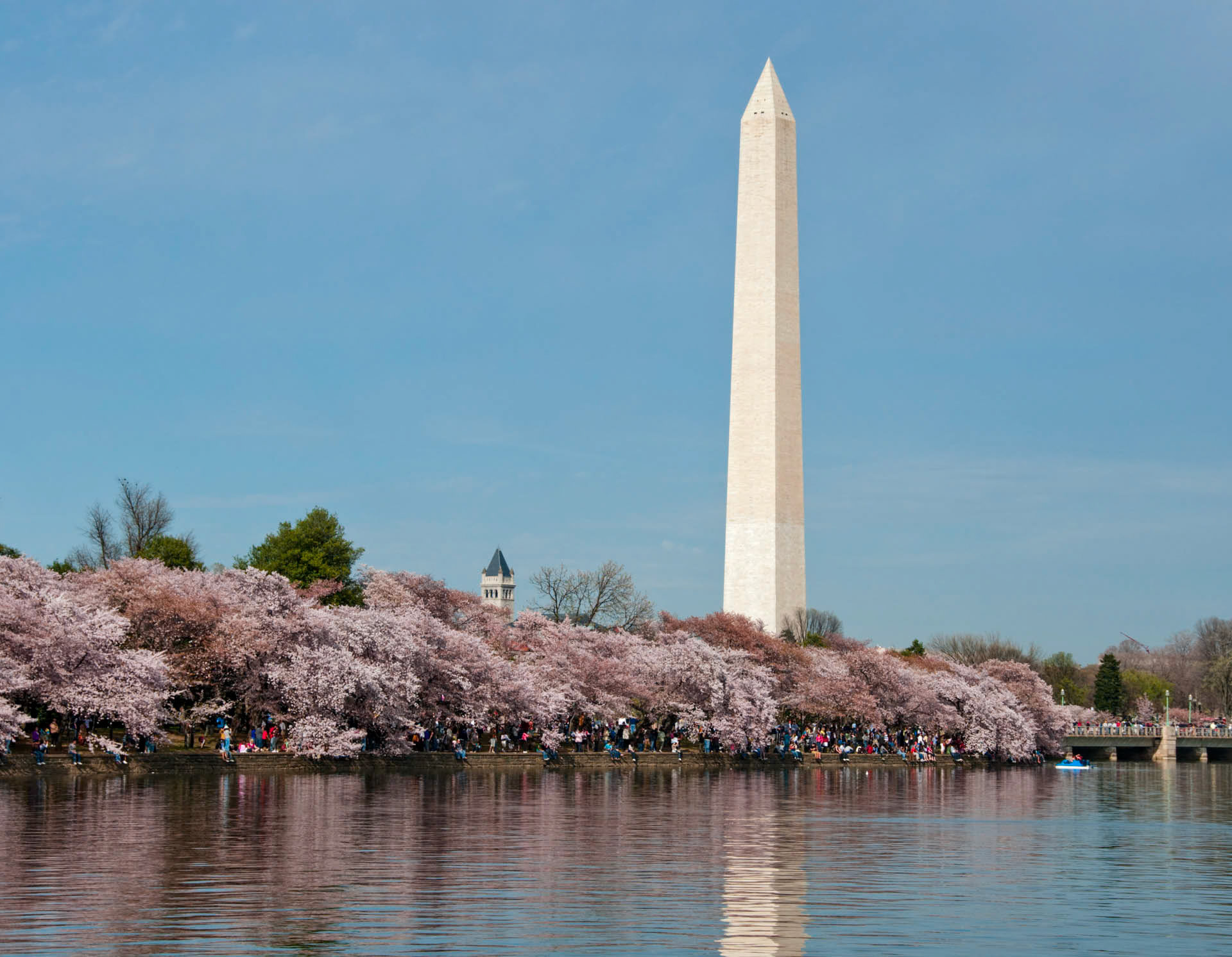 Cherry Blossoms Monument