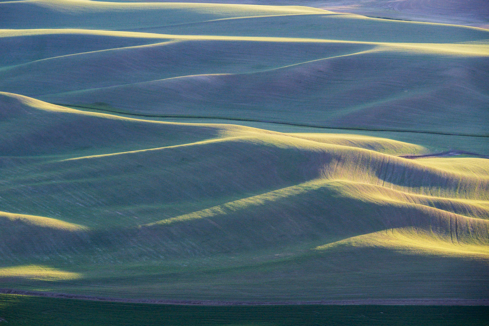 Steptoe Rolling Hills