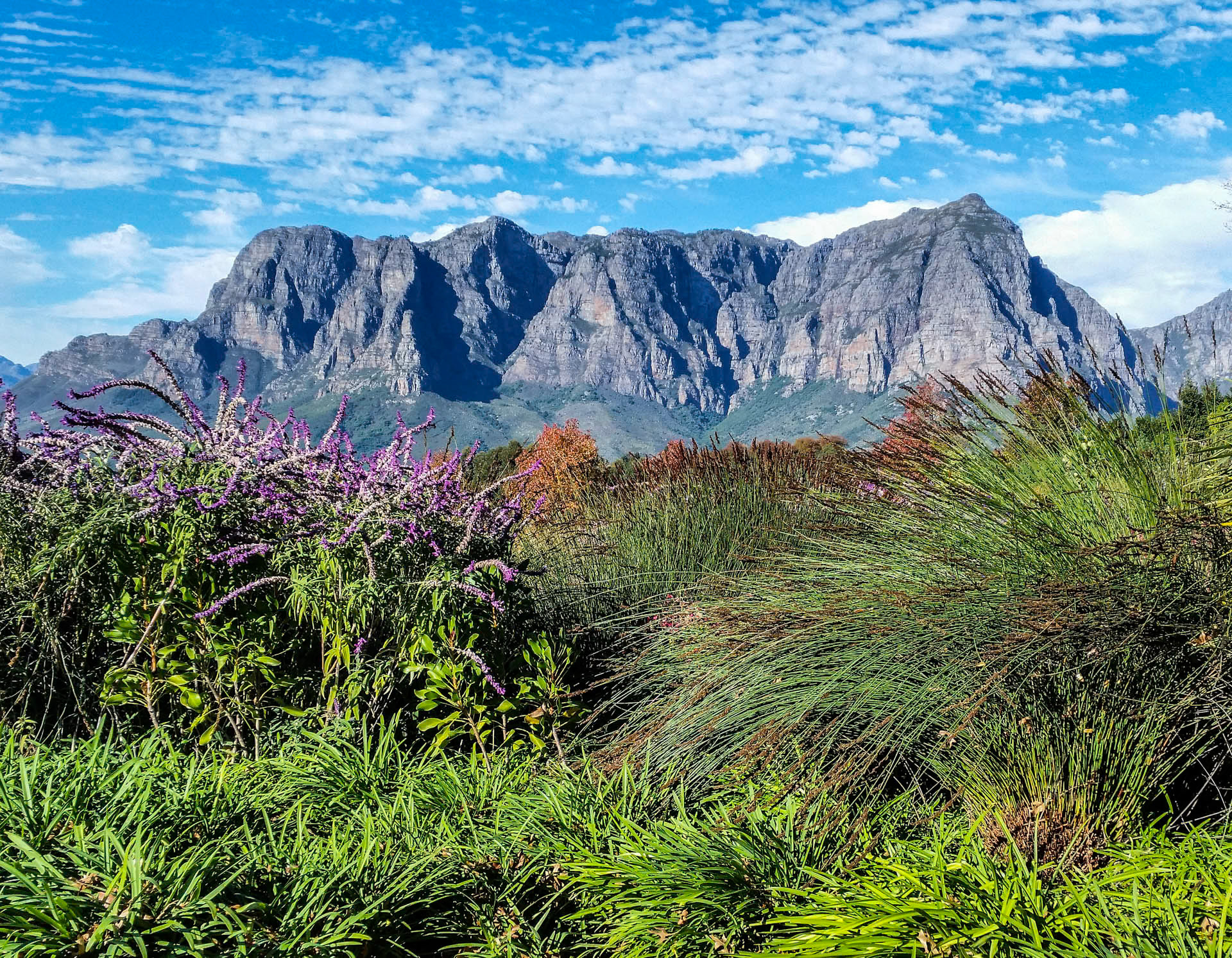 Franschhoek Vista