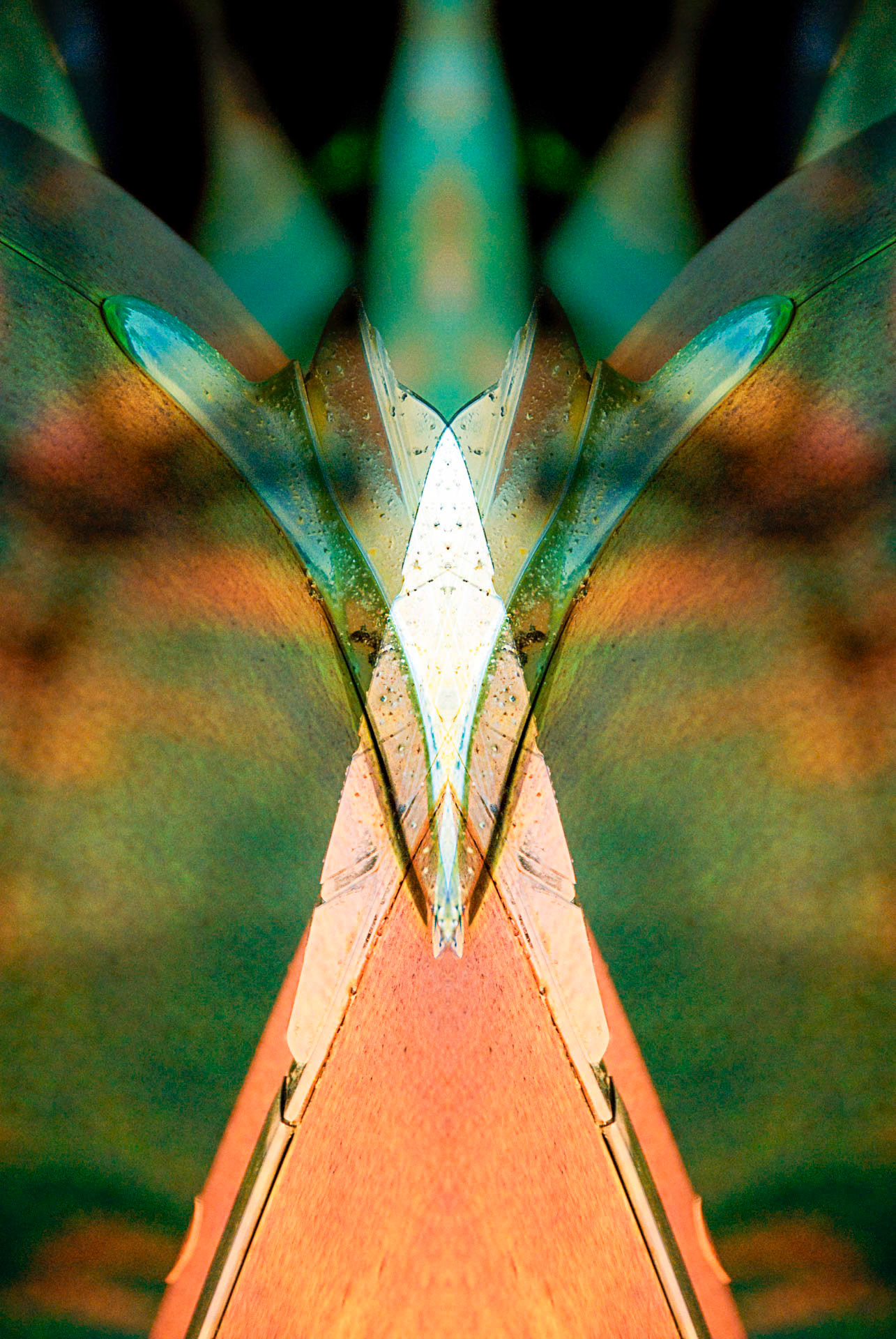 Spirit Montage