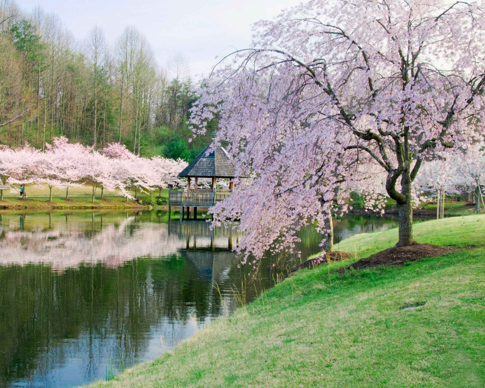 Spring at Meadowlark
