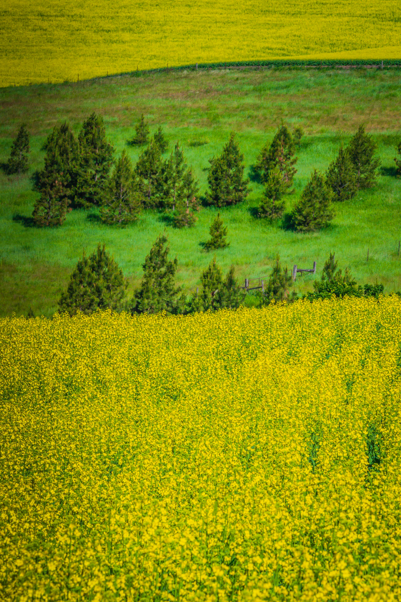 Palouse Layers