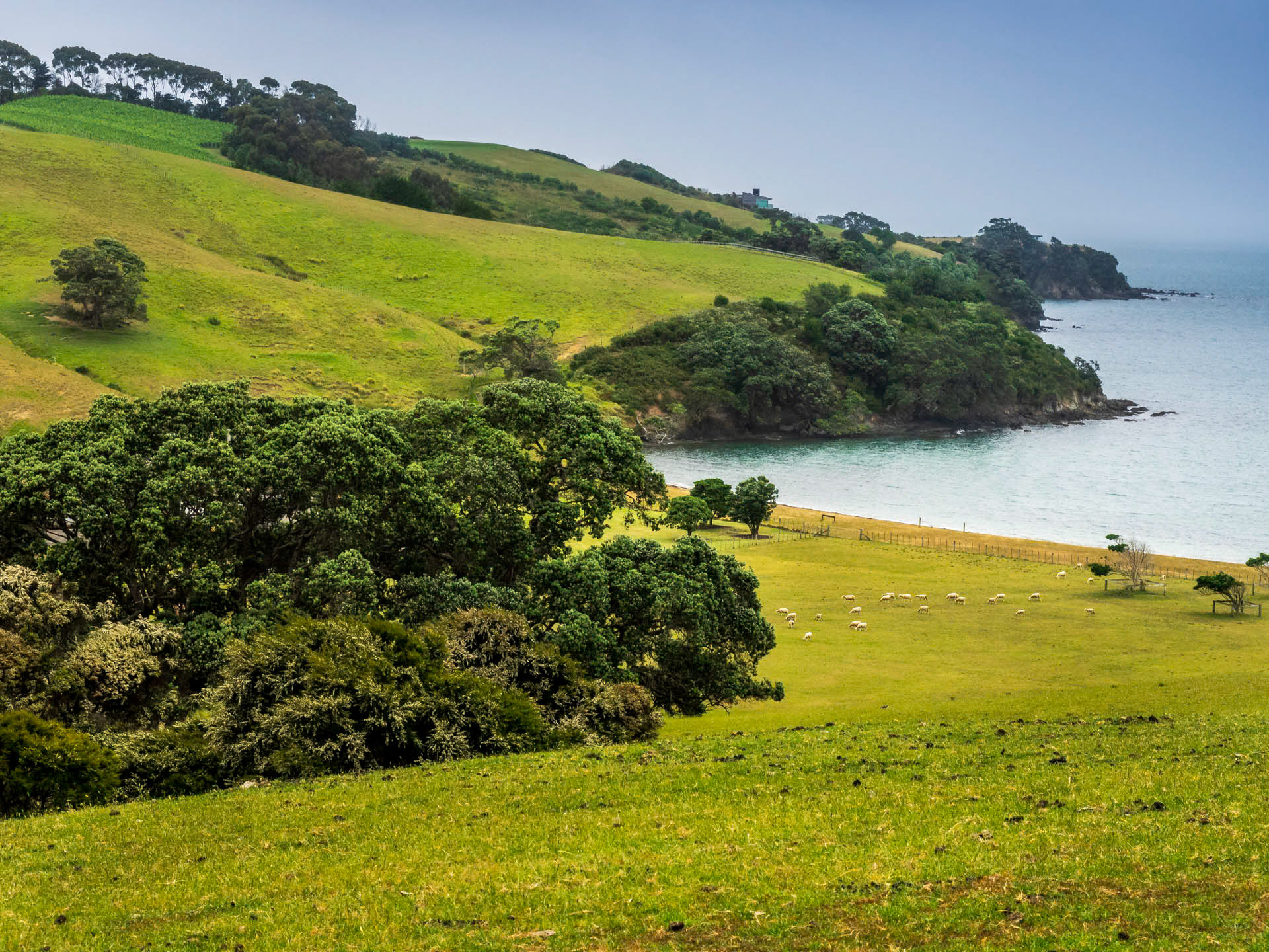Waiheke Hills