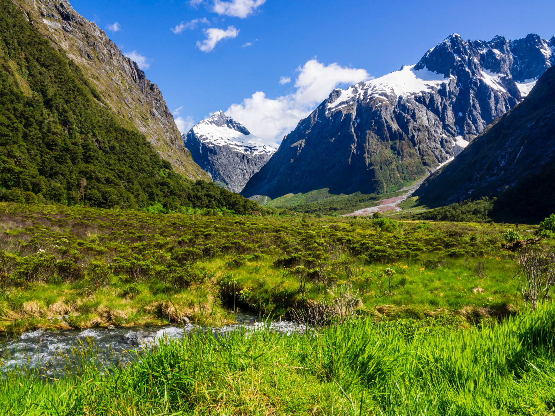 Fiordland 46