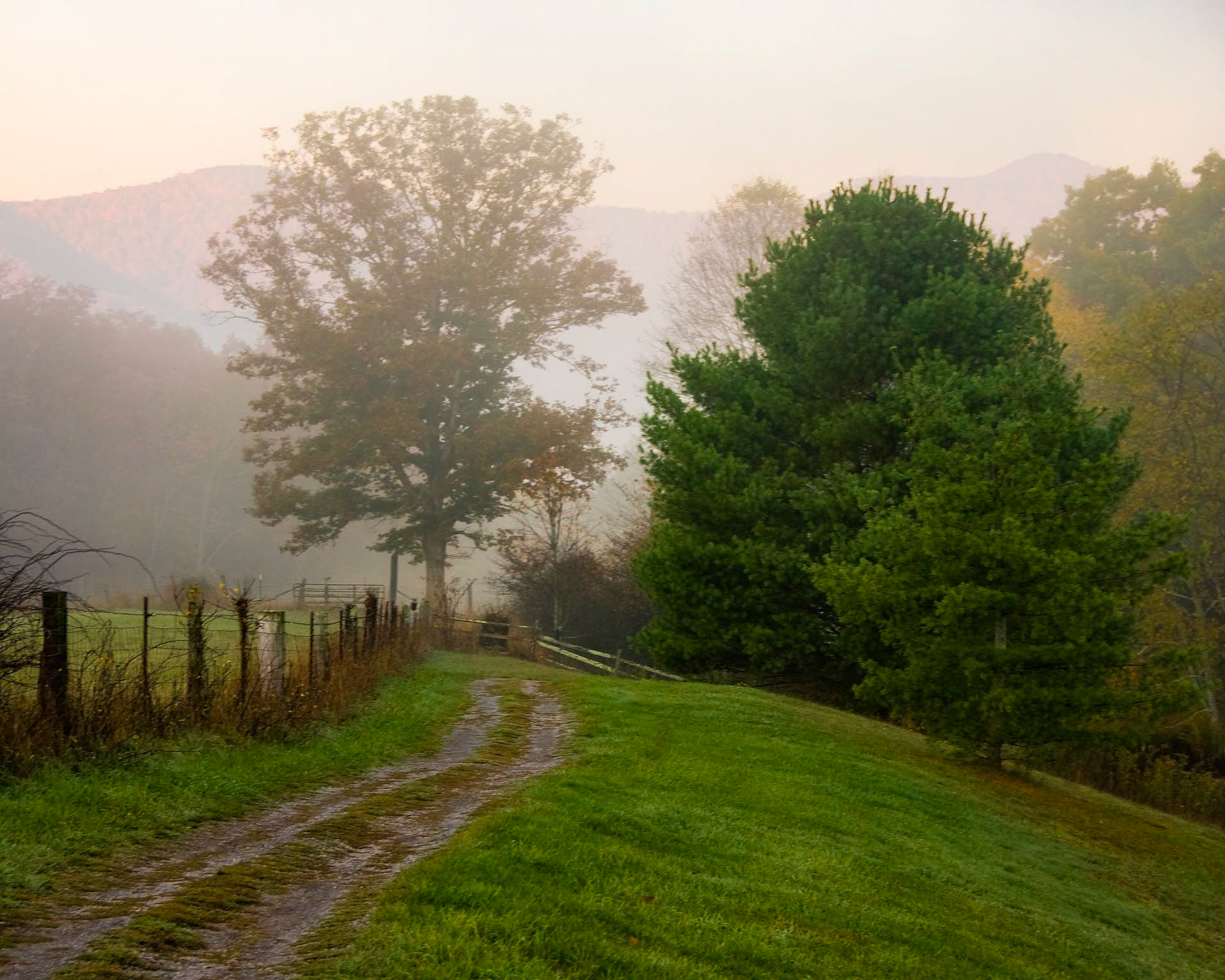 Misty Path 2