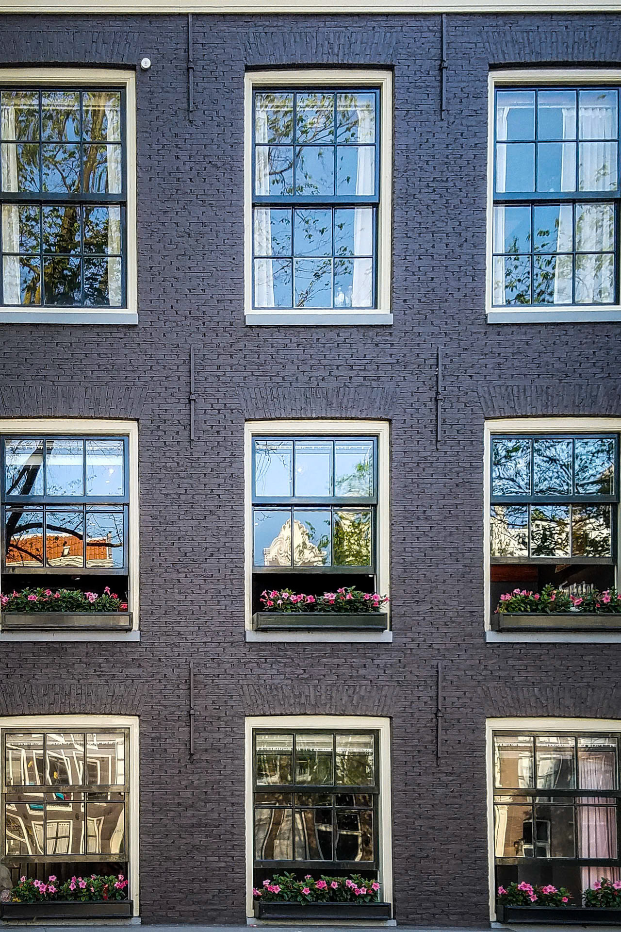 Nine Windows