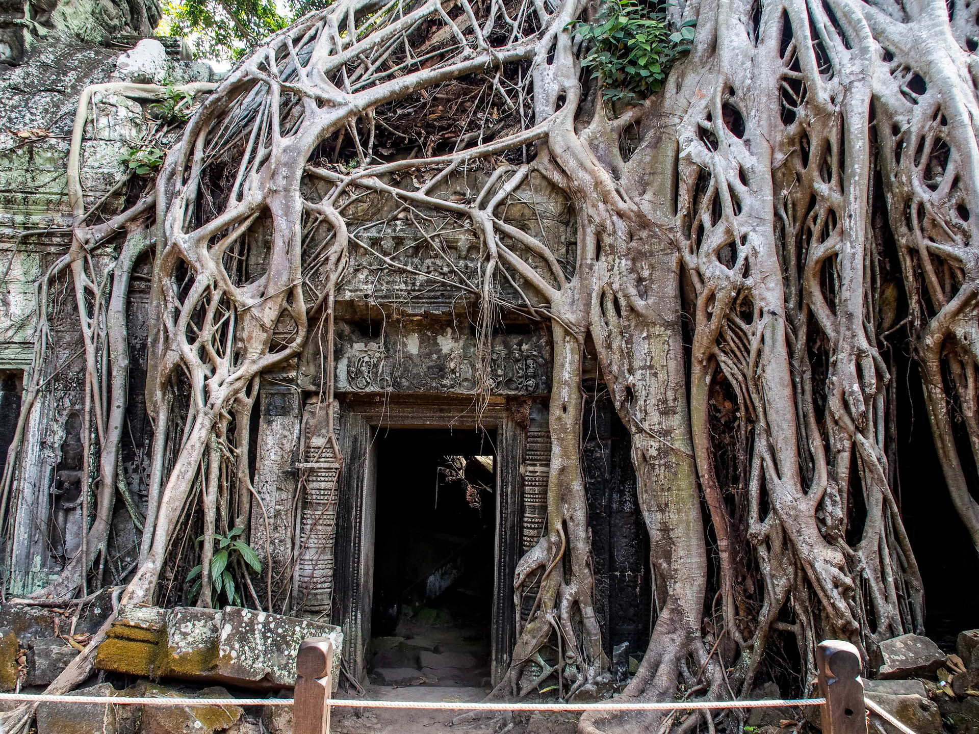 Jungle Temple