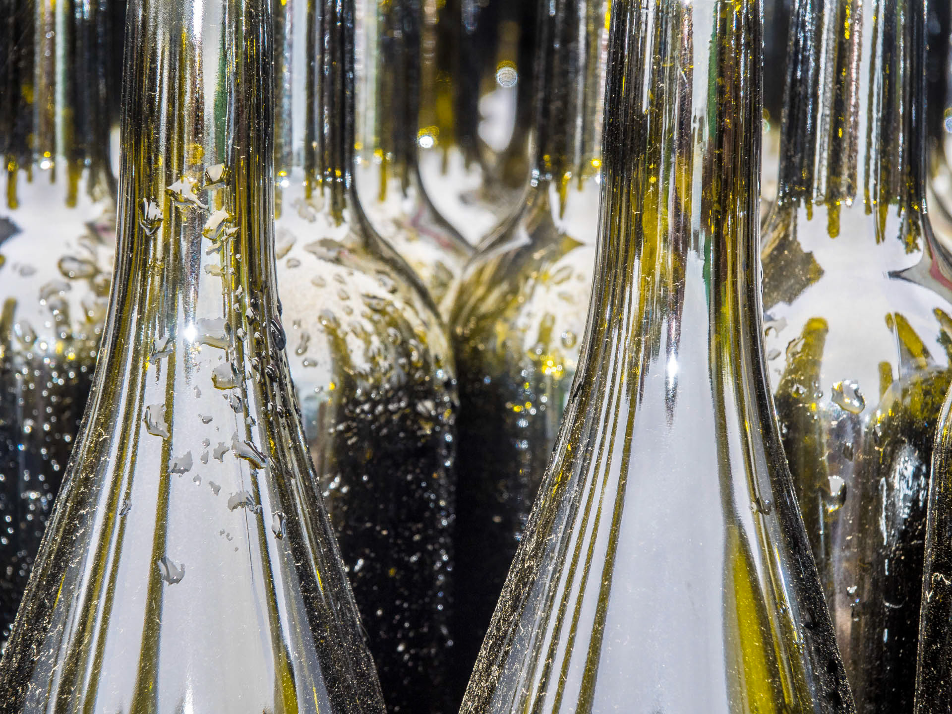 Wine Bottles