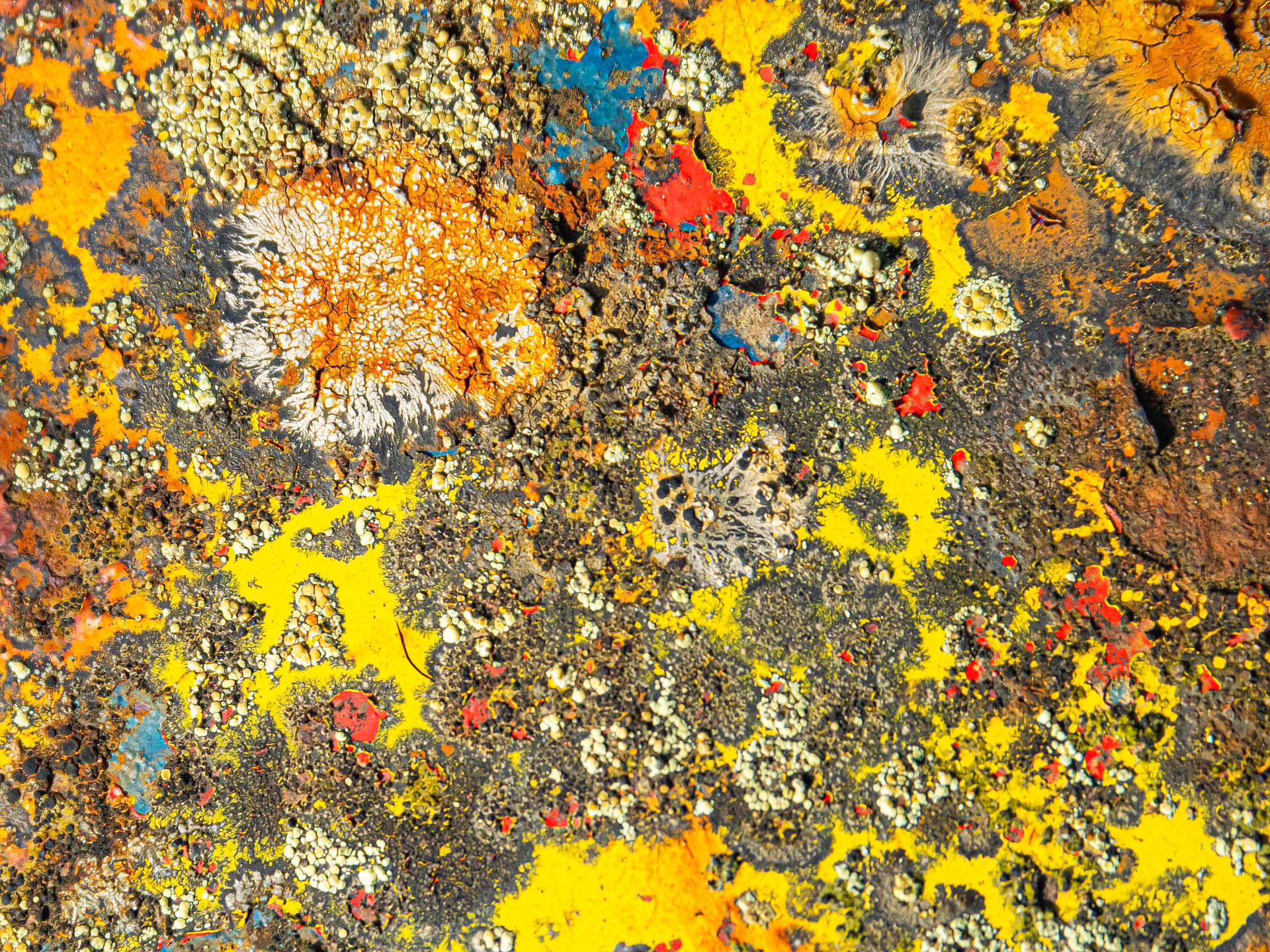 Rust Car Abstract Orange