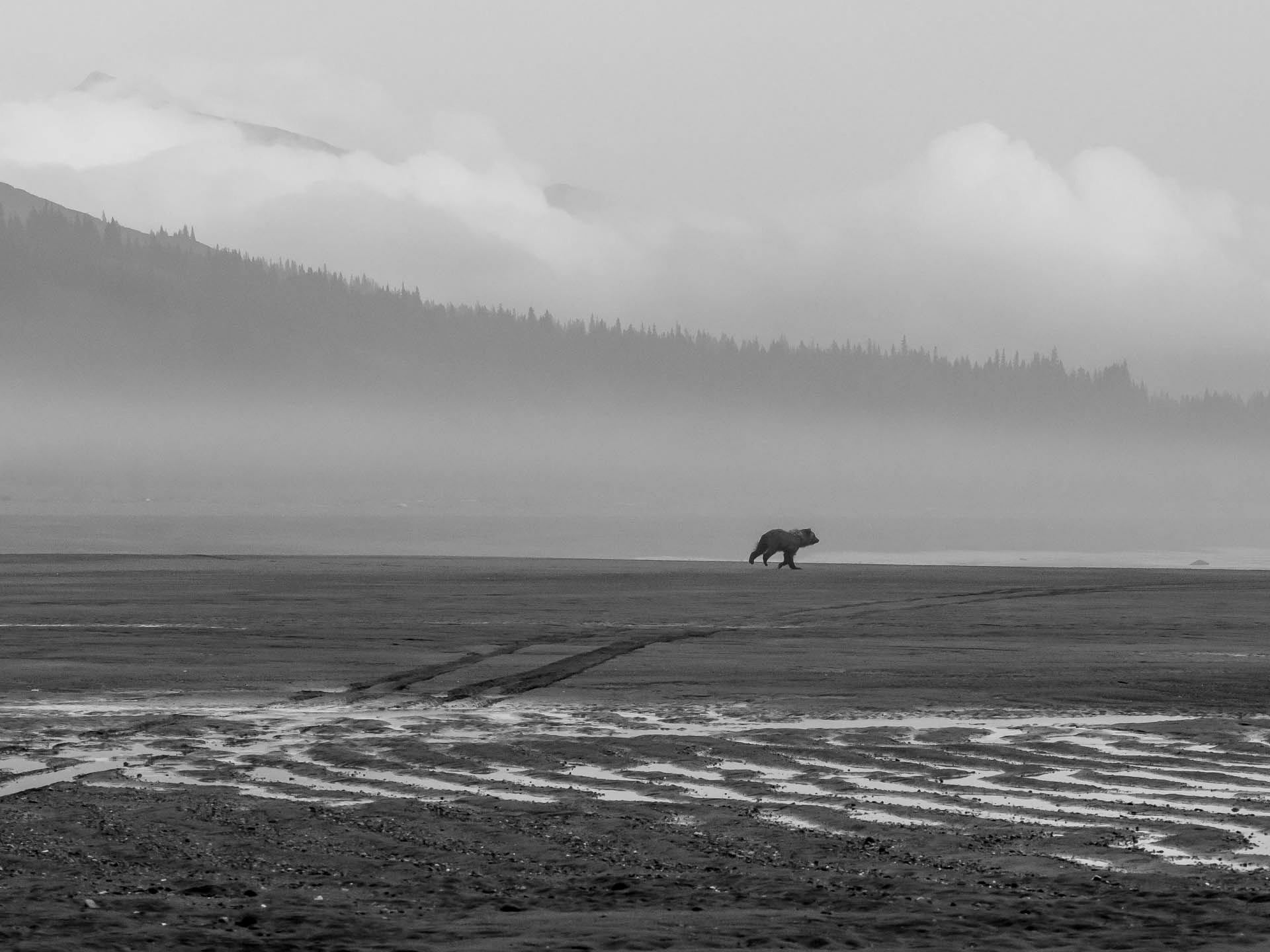 Walk on the Beach