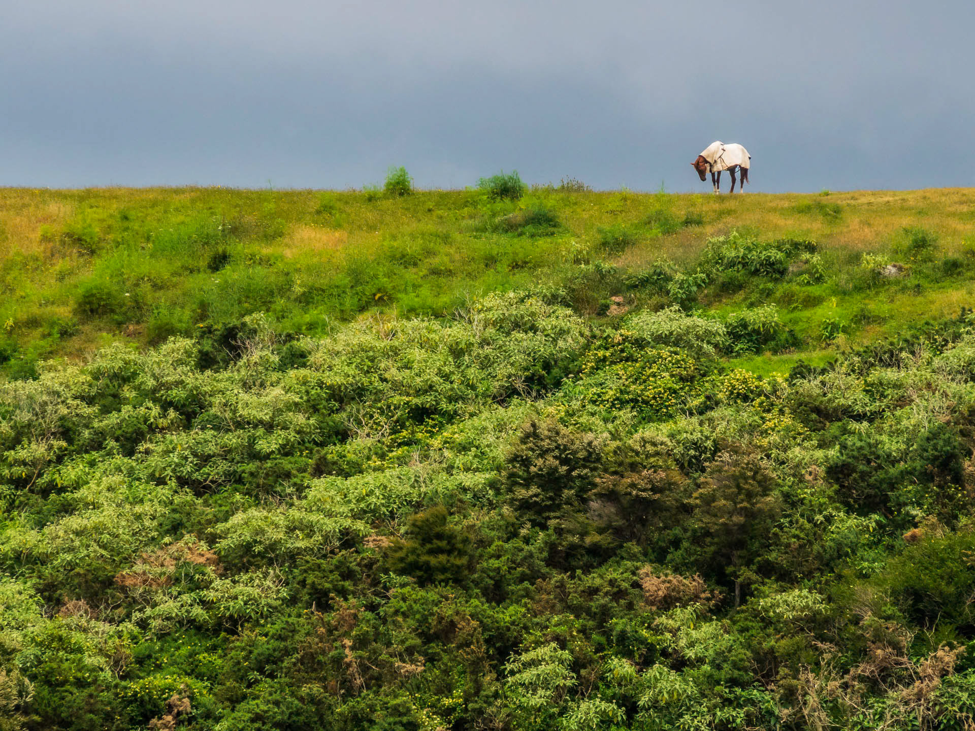 Alone on a hill
