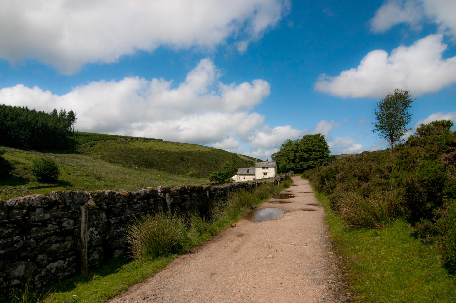 Dartmoor Path