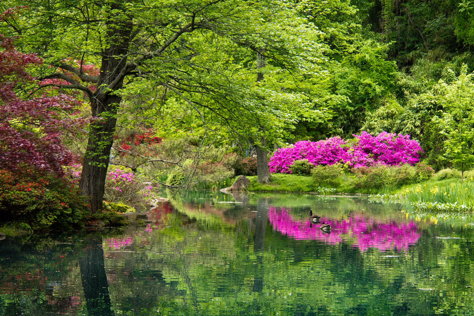 Springtime Delight 3