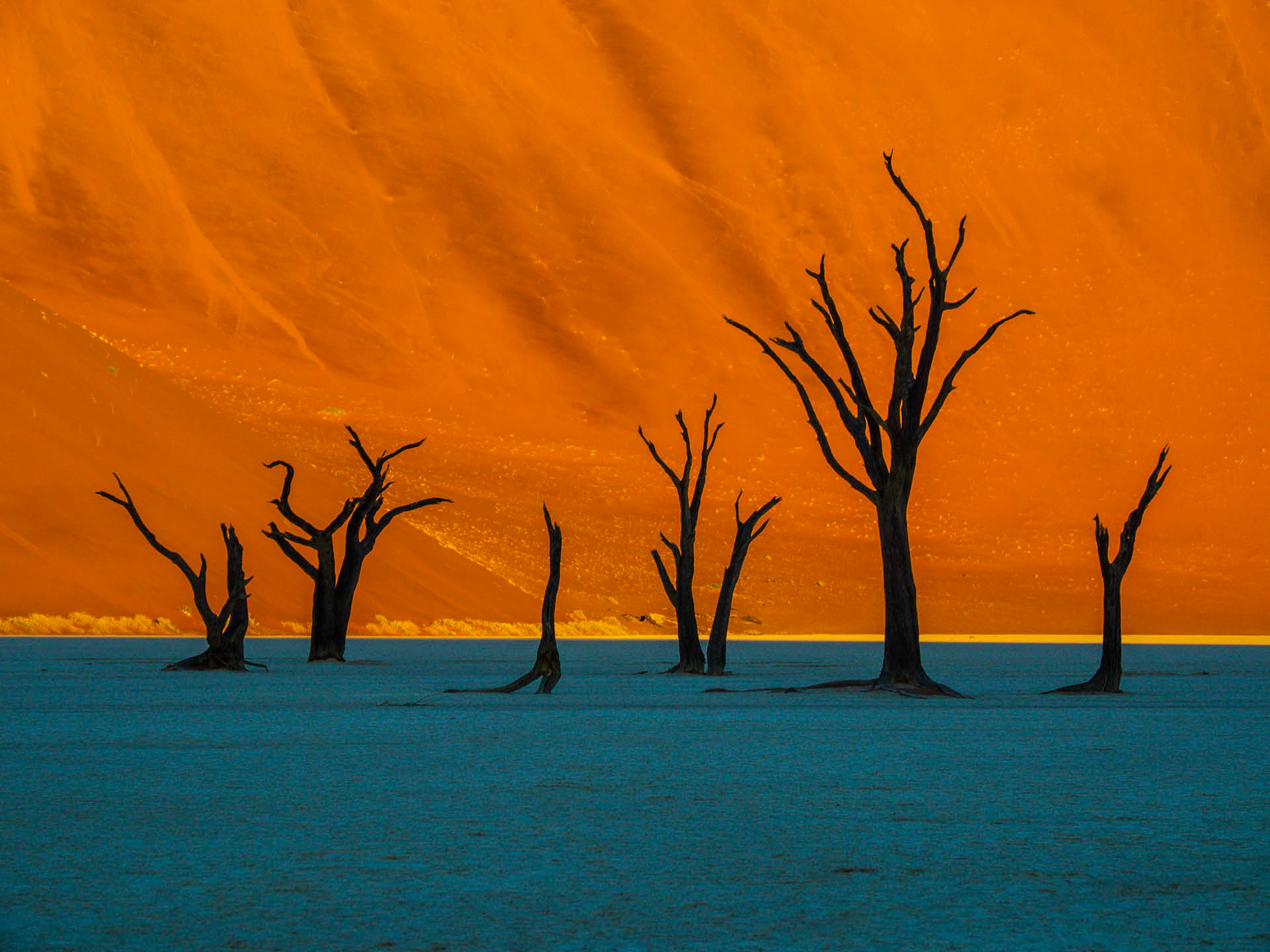DeadVlei 607