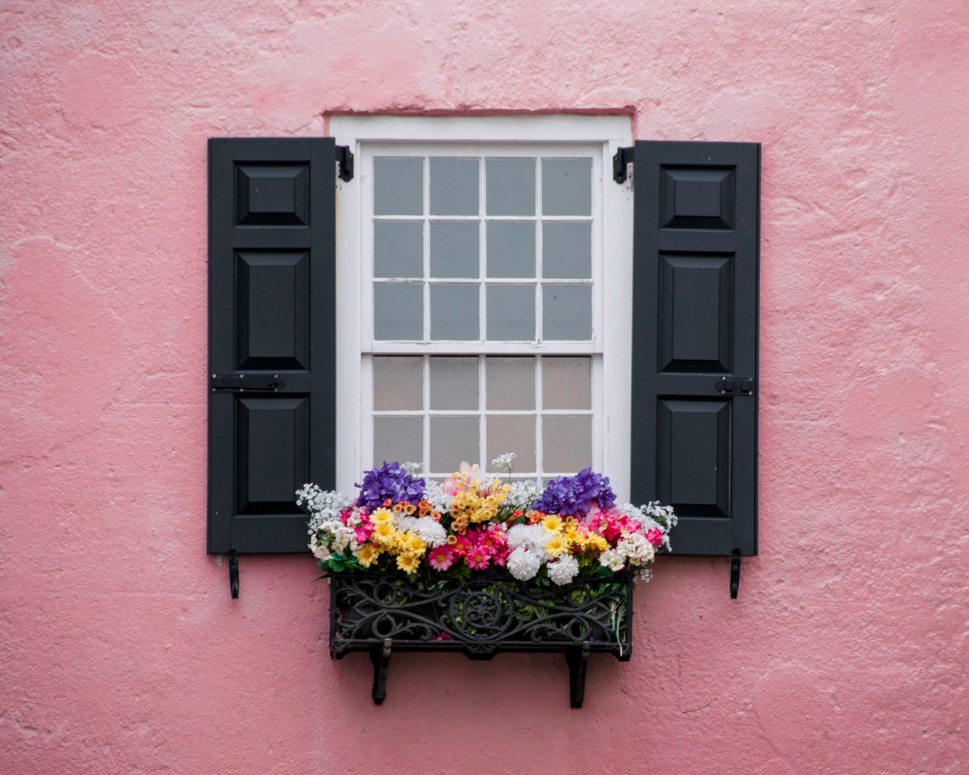 Charleston Windowbox