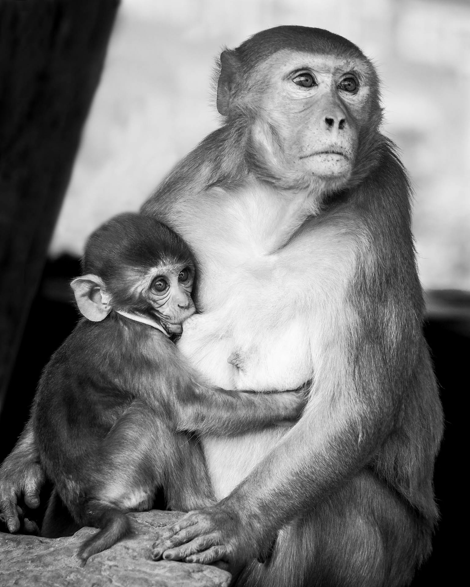 Agra Mother &amp; Child