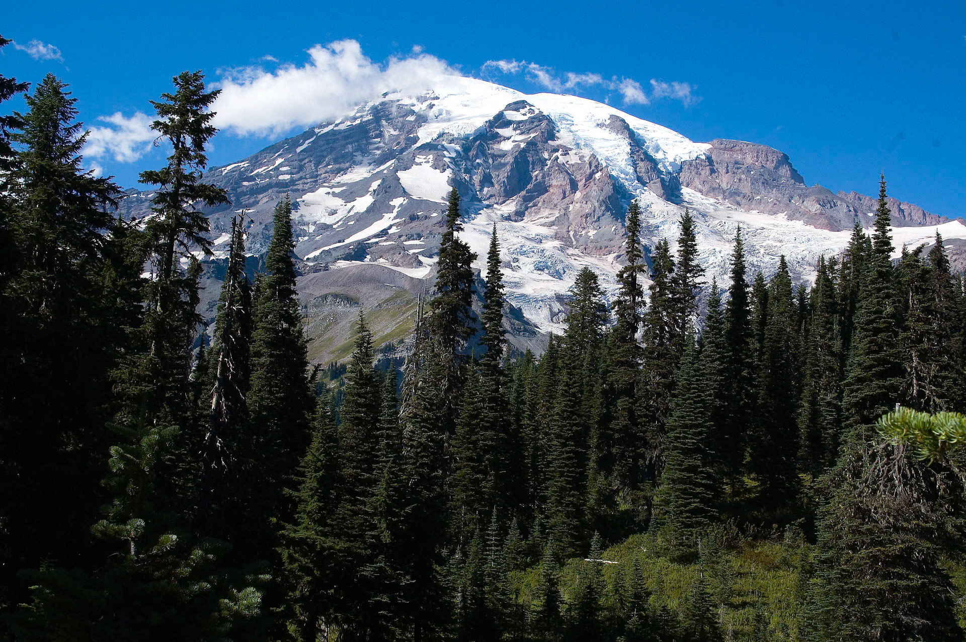 Mt. Ranier