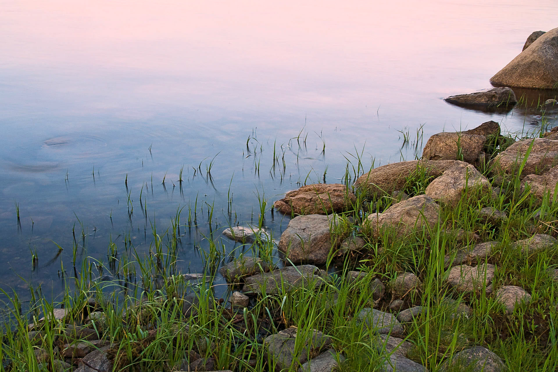 Peaceful Morn