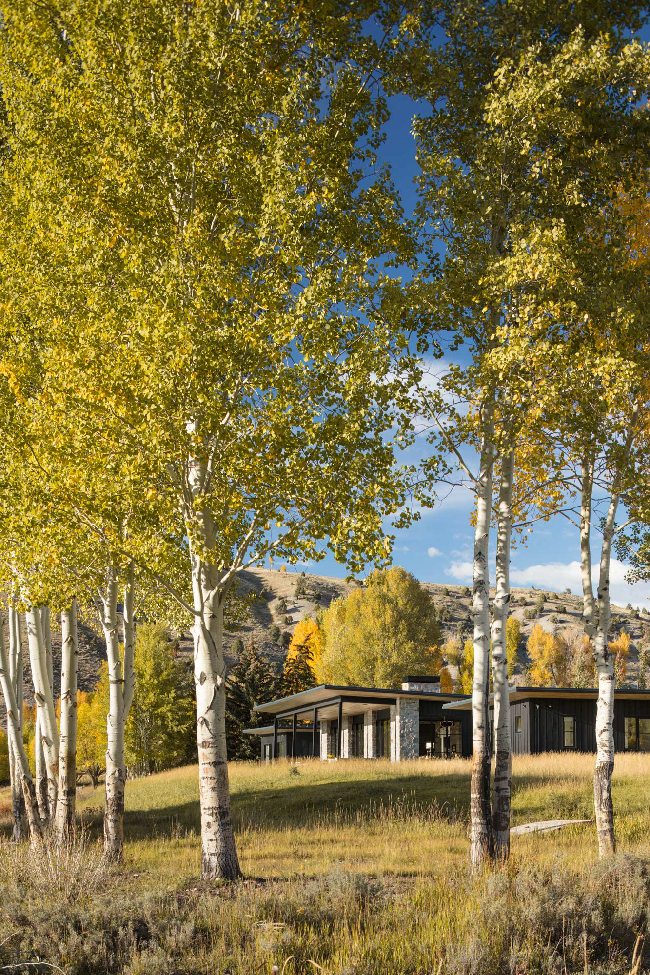 MB Architects / Creative Building Solutions / Nye Design