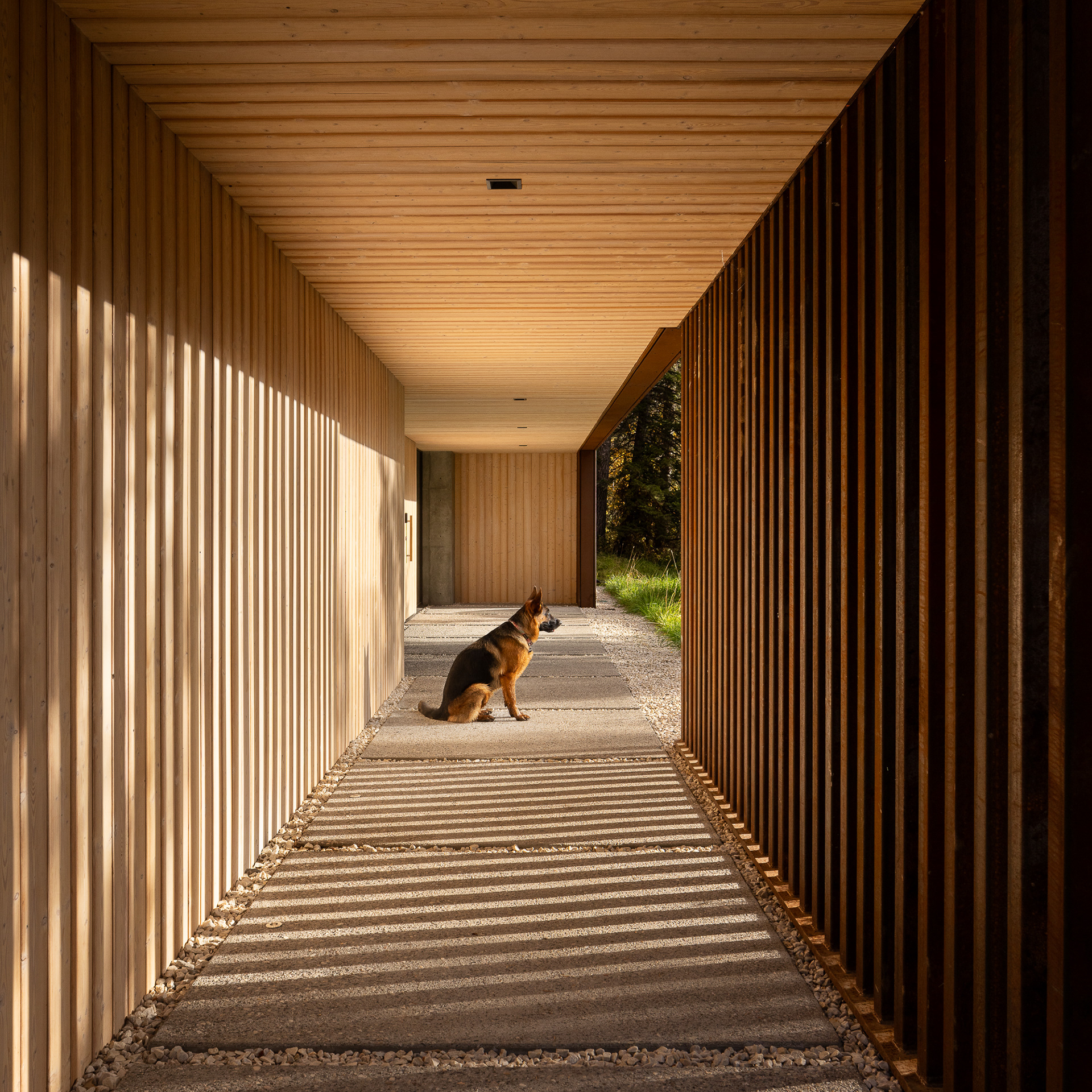 A modern home designed by clb architects in a fall setting in the forest. Photography by Aaron Kraft Krafty Photos
