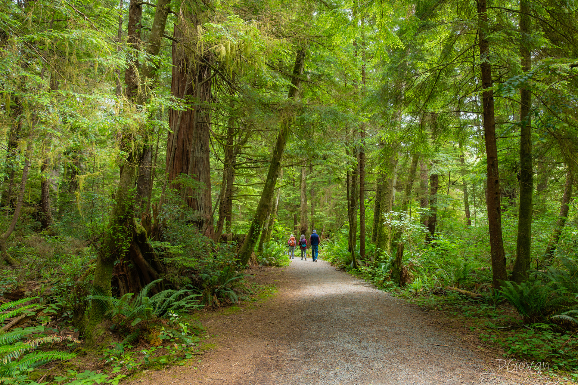Big Cedar Trail