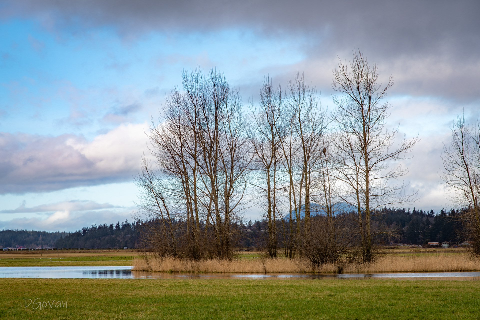 Samish Flats, WA