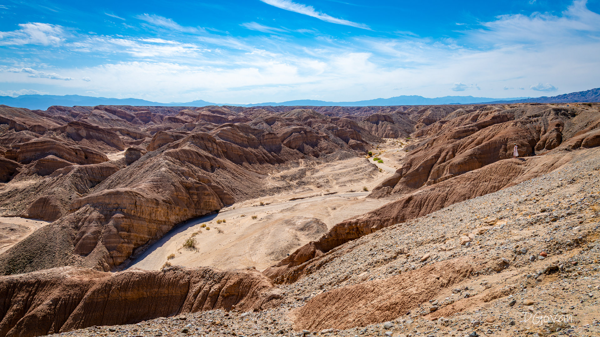Woman in White - Anza Borrego