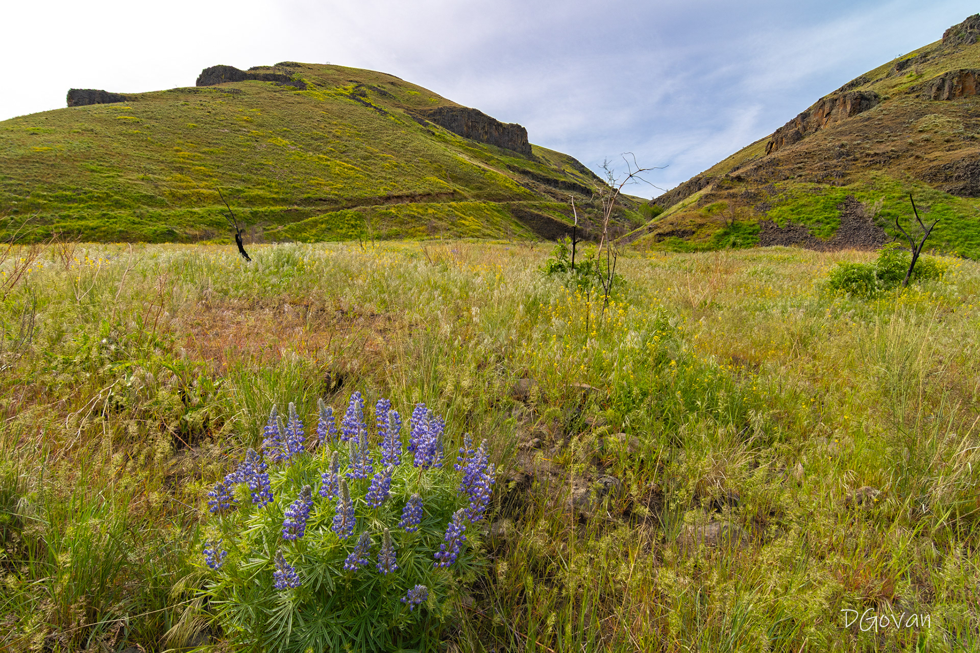 Umtanum Canyon