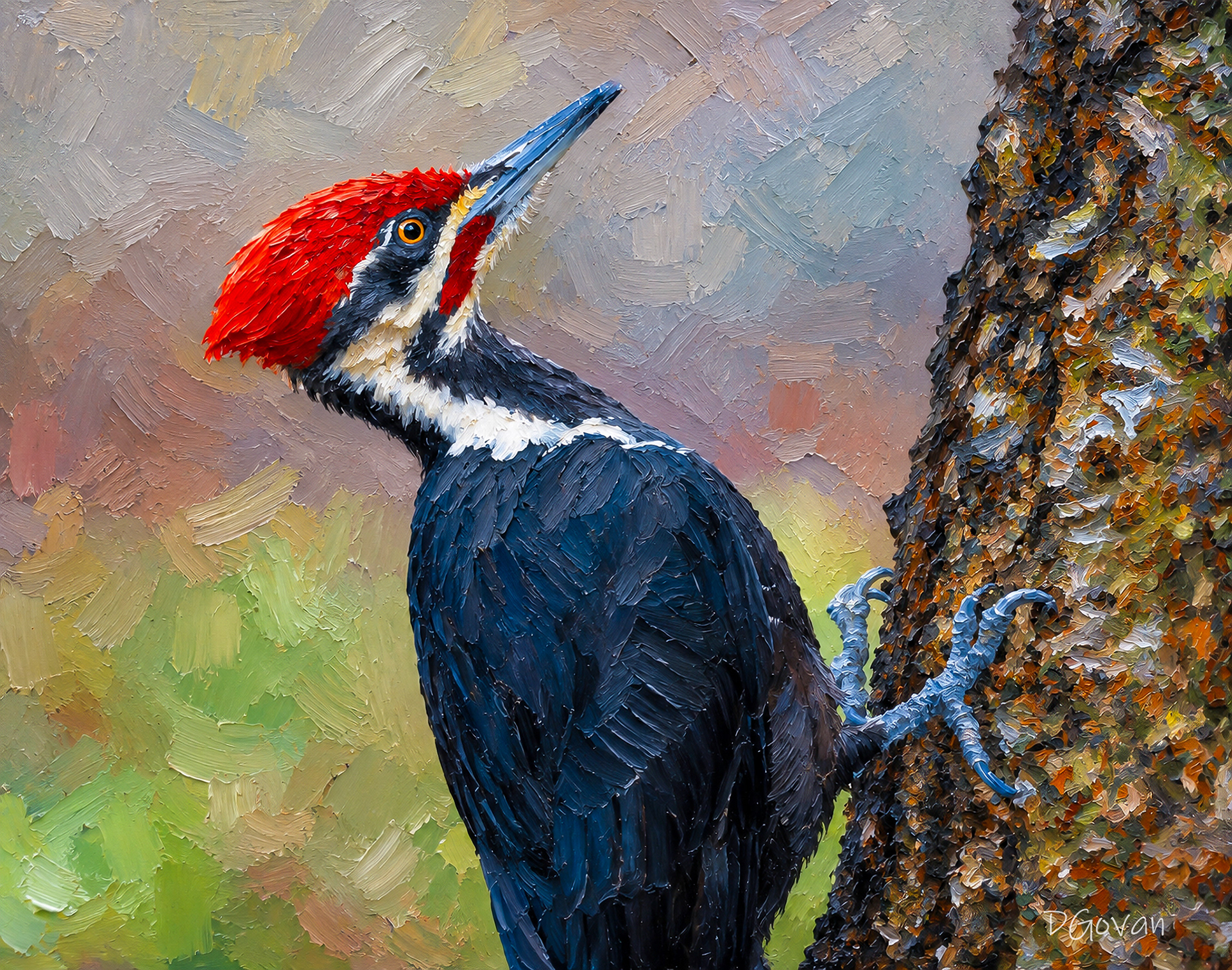 Handsome Fellow - Pileated Woodpecker