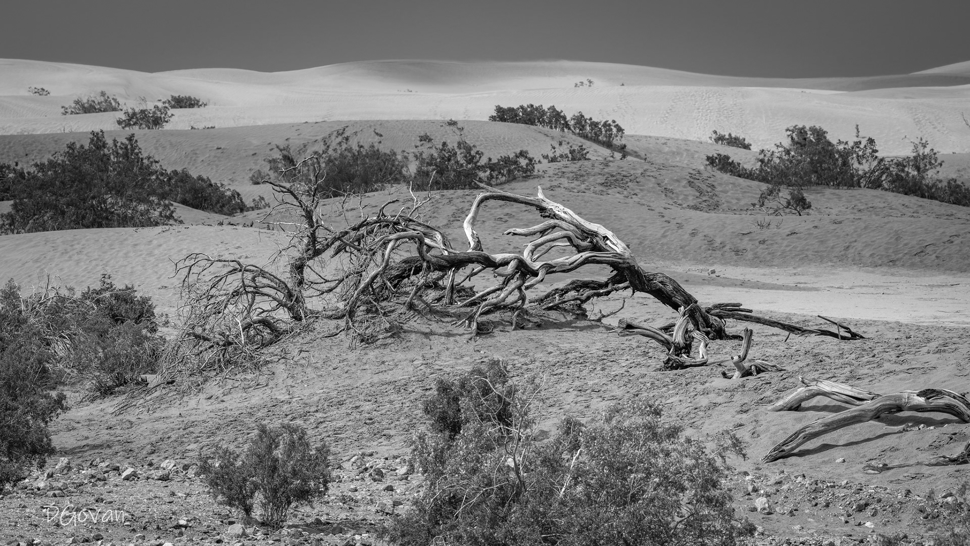 Mesquite Dunes - Death Valley