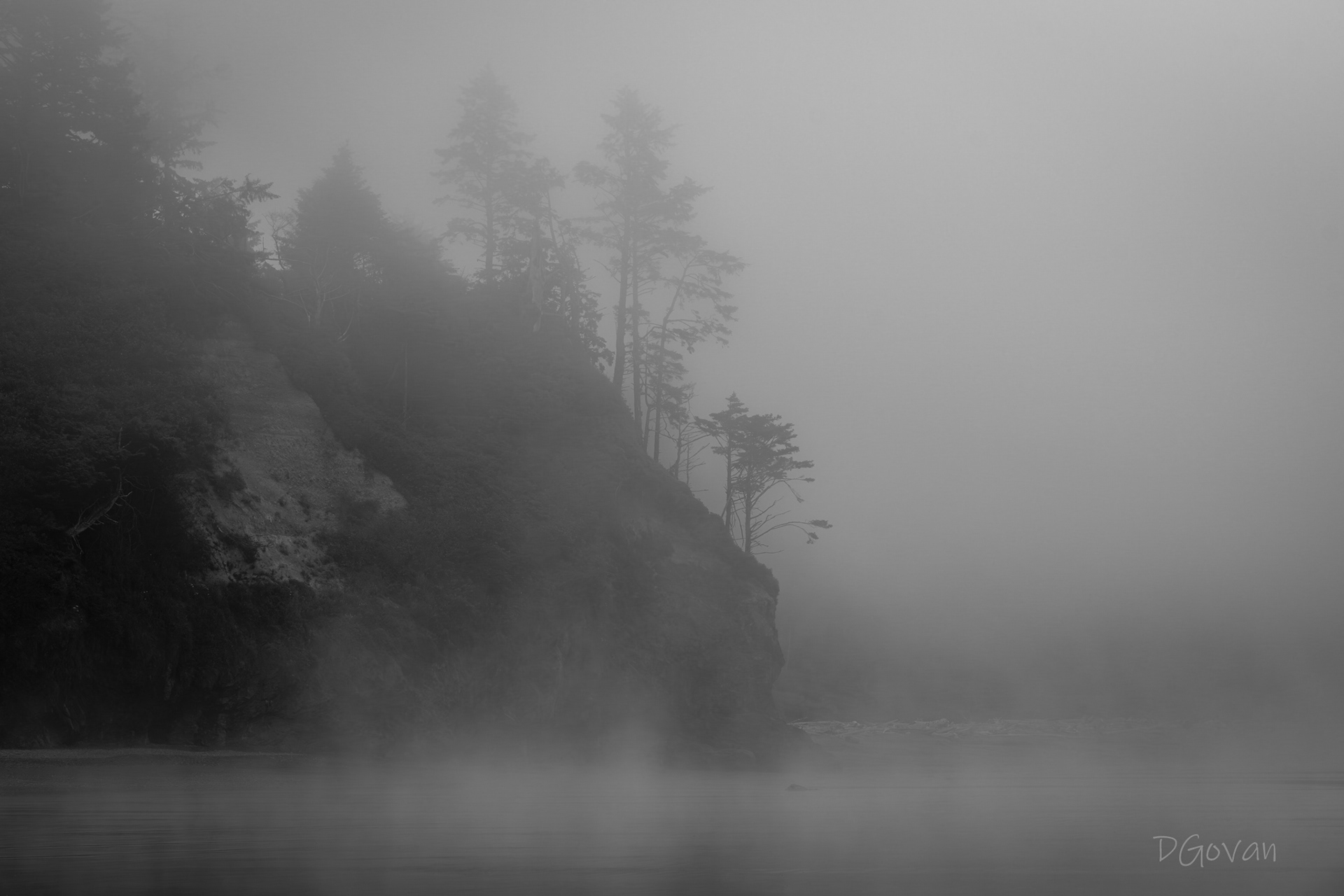 Foggy Bluff - Ruby Beach